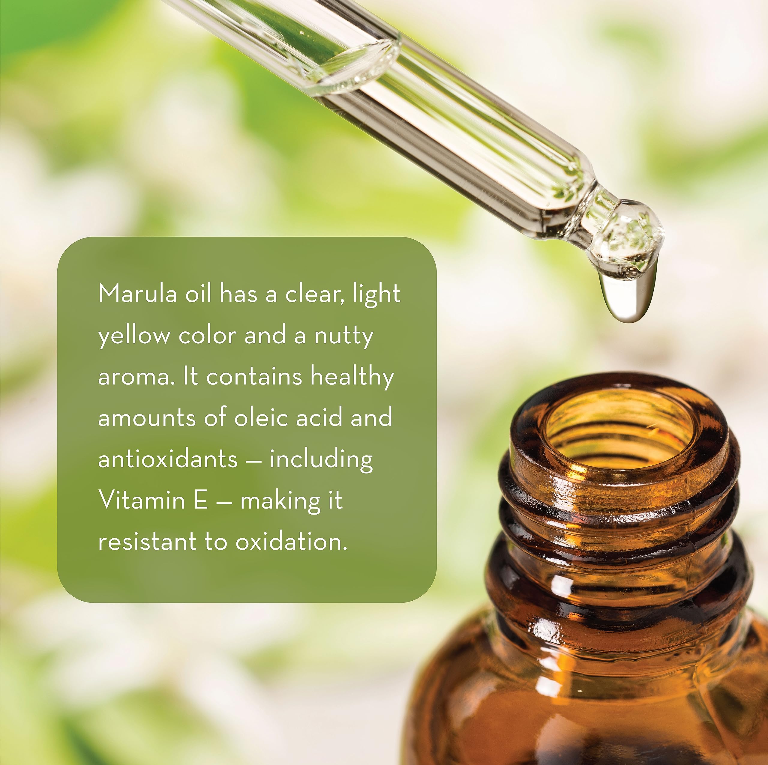 Pure Body Naturals Marula Facial Oil, 1 Fluid Ounce - Cold-pressed, Refined Luxury Beauty Oil for Face and Hair - Vegan, Gluten-free and 100% Natural