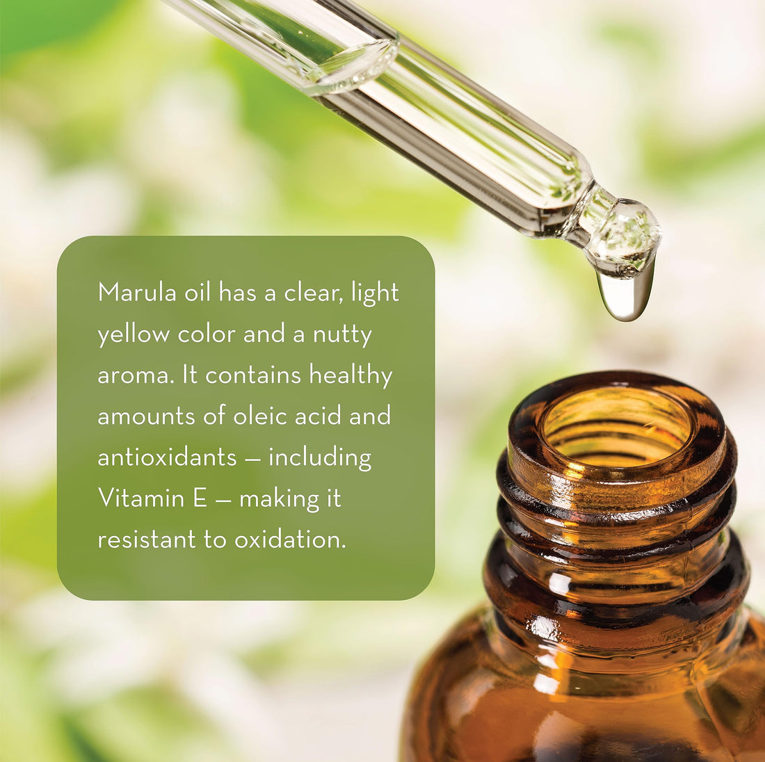 Pure Body Naturals Marula Facial Oil, 1 Fluid Ounce - Cold-pressed, Refined Luxury Beauty Oil for Face and Hair - Vegan, Gluten-free and 100% Natural