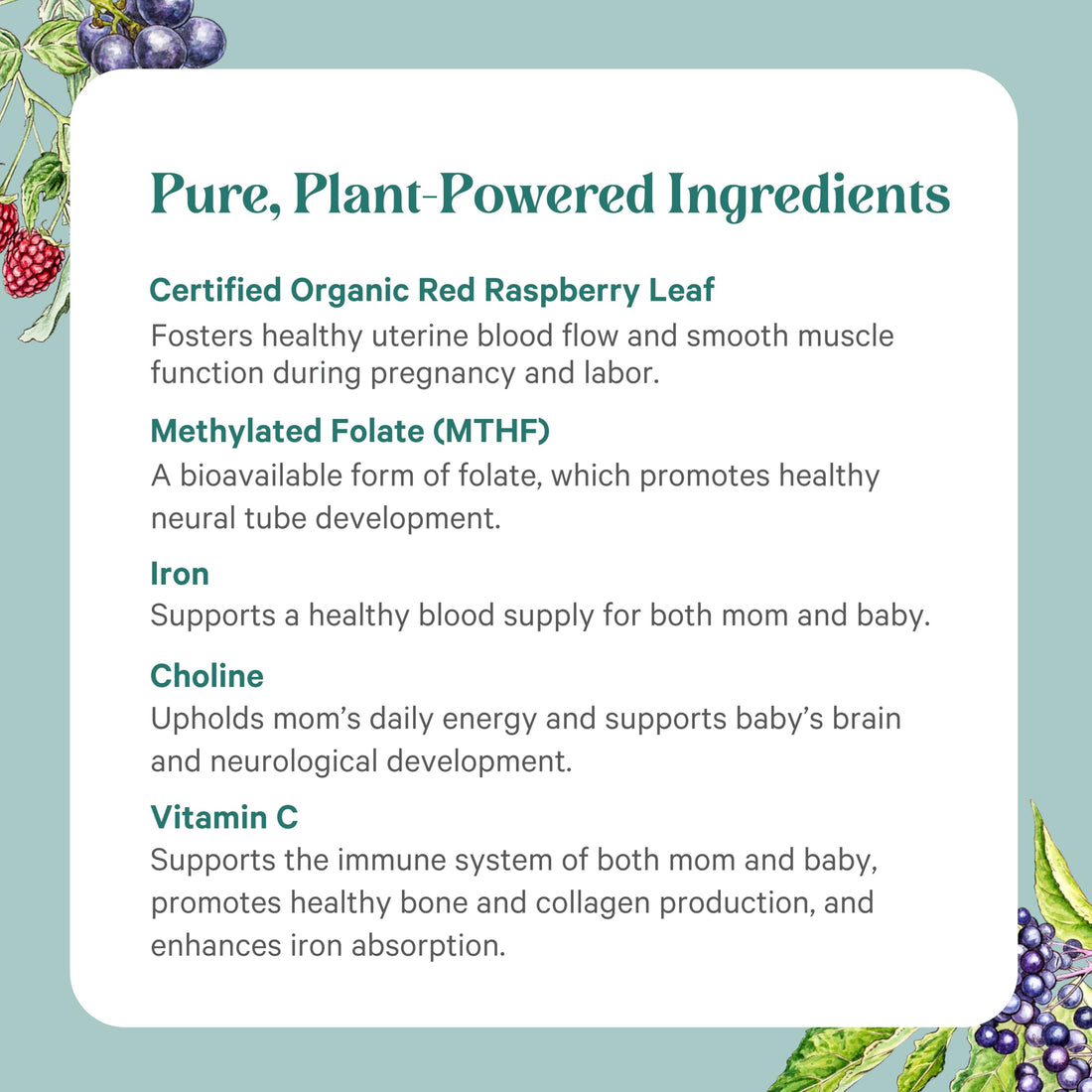 PURE SYNERGY PureNatal Prenatal Vitamins | Vegan Supplement Made with Organic Whole Foods | with Natural Iron, Folate, and Choline | for Pre-Conception, Pregnancy and Breastfeeding (120 Tablets)