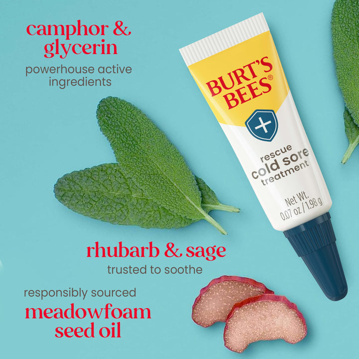 Burt's Bees Cold Sore Treatment and Medicated Lip Balm, College Back to School Dorm Essentials, With Menthol and Eucalyptus Oil, Natural Origin Skincare, 2 Tubes, 0.07 oz./0.15 oz.
