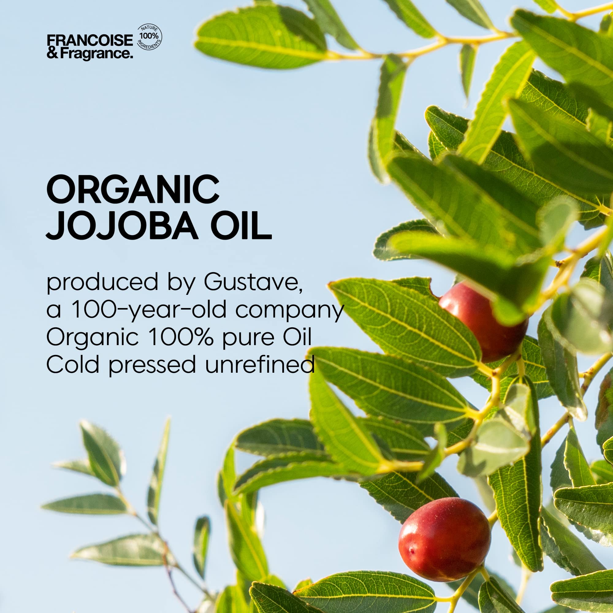 Francoise K-beauty cold pressed Unrefined Virgin Jojoba Oil Ampoule for face Organic 100% pure Oil for Moisturizing, Natural, Itchy Relief, Eczema, Sensitive Skin Care (Jojoba Oil Ampoule 1.6fl oz)