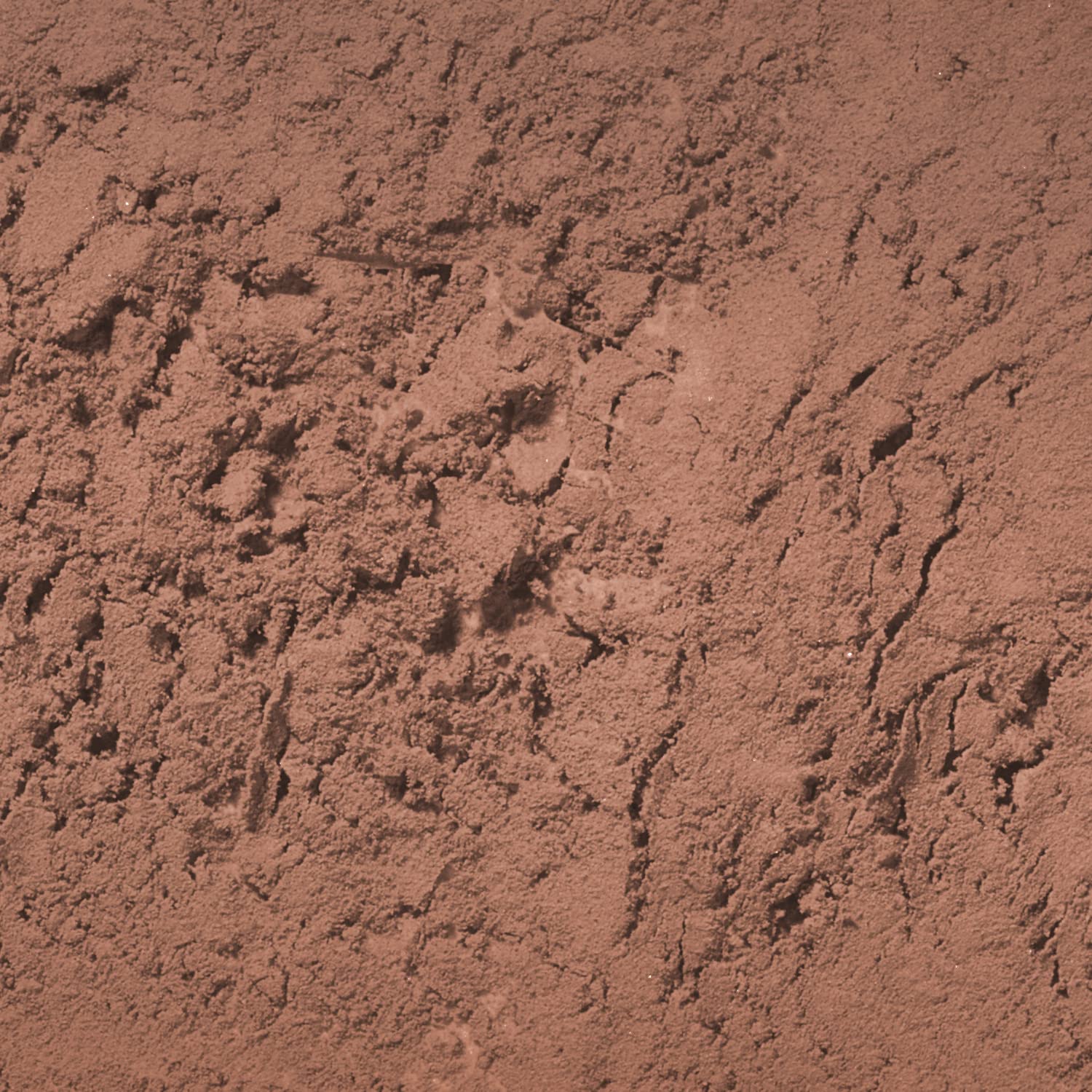 Palladio Brow Powder for Eyebrows, Dark Brown