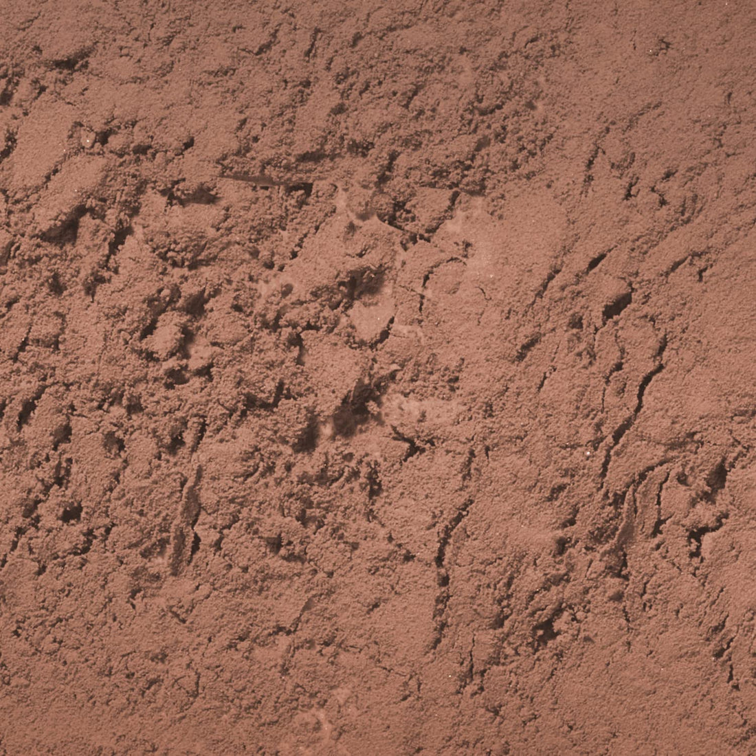 Palladio Brow Powder for Eyebrows, Dark Brown