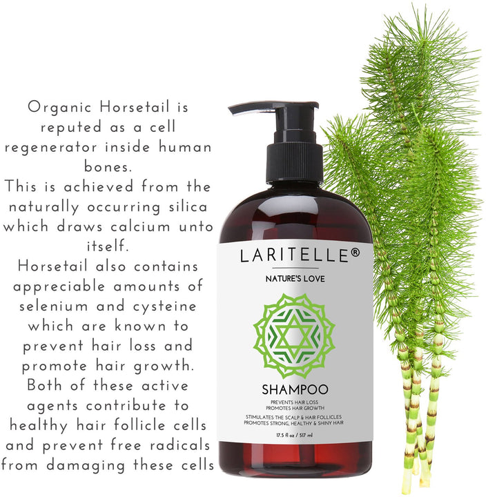 Laritelle Organic Shampoo 17 oz + Conditioner 16 oz | Prevents Hair Loss, Promotes Hair Growth | Argan Oil, Rosemary, Ginger & Cedarwood | NO GMO, Sulfates, Gluten, Alcohol, Parabens, Phthalates