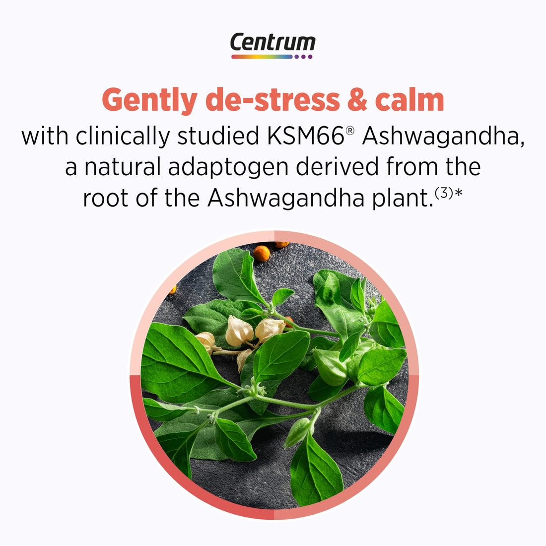 Centrum Clear Mind and Calm Mood Menopause Support Tablets, with Clinically Studied enXtra, 30 Count