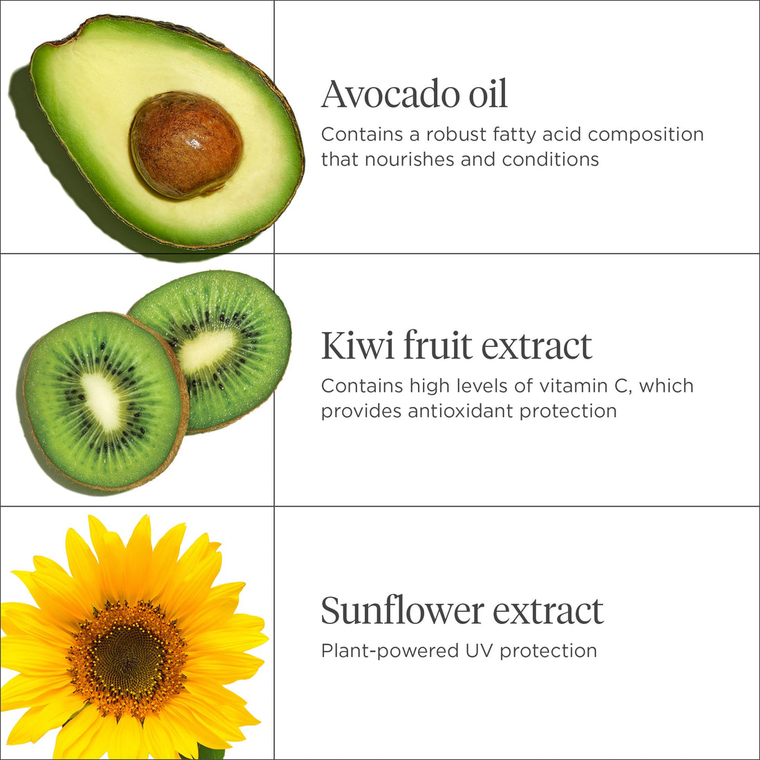 Briogeo Superfoods Avocado + Kiwi Mega Moisture 3-in-1 Leave-In Spray, 3-in-1 Hair Moisturizer for Dry Damaged Hair, Hair Detangler Plus Leave In Conditioner, Vegan, Cruelty-Free, 5.75 fl oz