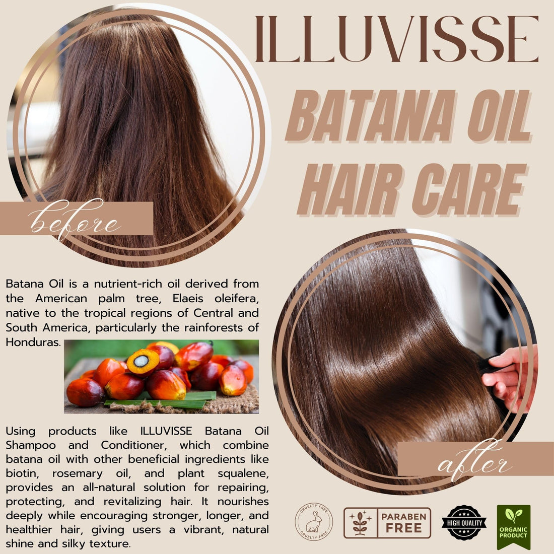 ILLUVISSE Batana Oil Shampoo and Conditioner Set - Organic Batana & Rosemary Oil for Hair Growth & Restoration - Thickening Formula with Organic Ingredients - For Women & Men