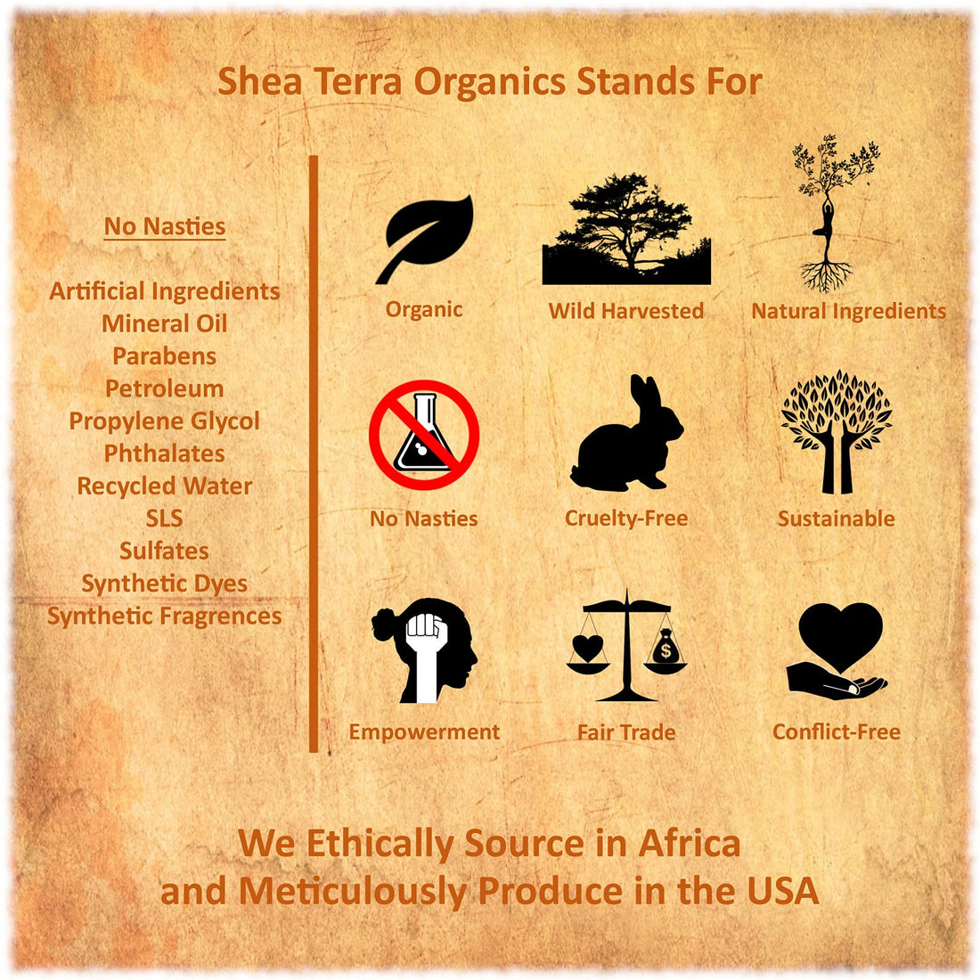 Shea Terra Organics 100 Percent Pure Egyptian Black Castor Extra Virgin Oil ââ‚¬â€œ Mango| All-Natural Strengthening and Conditioning Hair Oil for Healthy Hair Growth and Scalpââ‚¬â€œ 8 oz