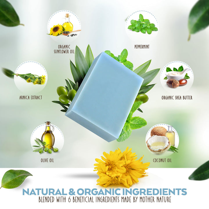 Aspen Kay Naturals Arnica and Mint soap, vegan, olive oil, shea butter, coconut oil, essential oils, palm oil, cold processed. for all skin types, sensitive skin, MADE IN THE USA (1 pack)