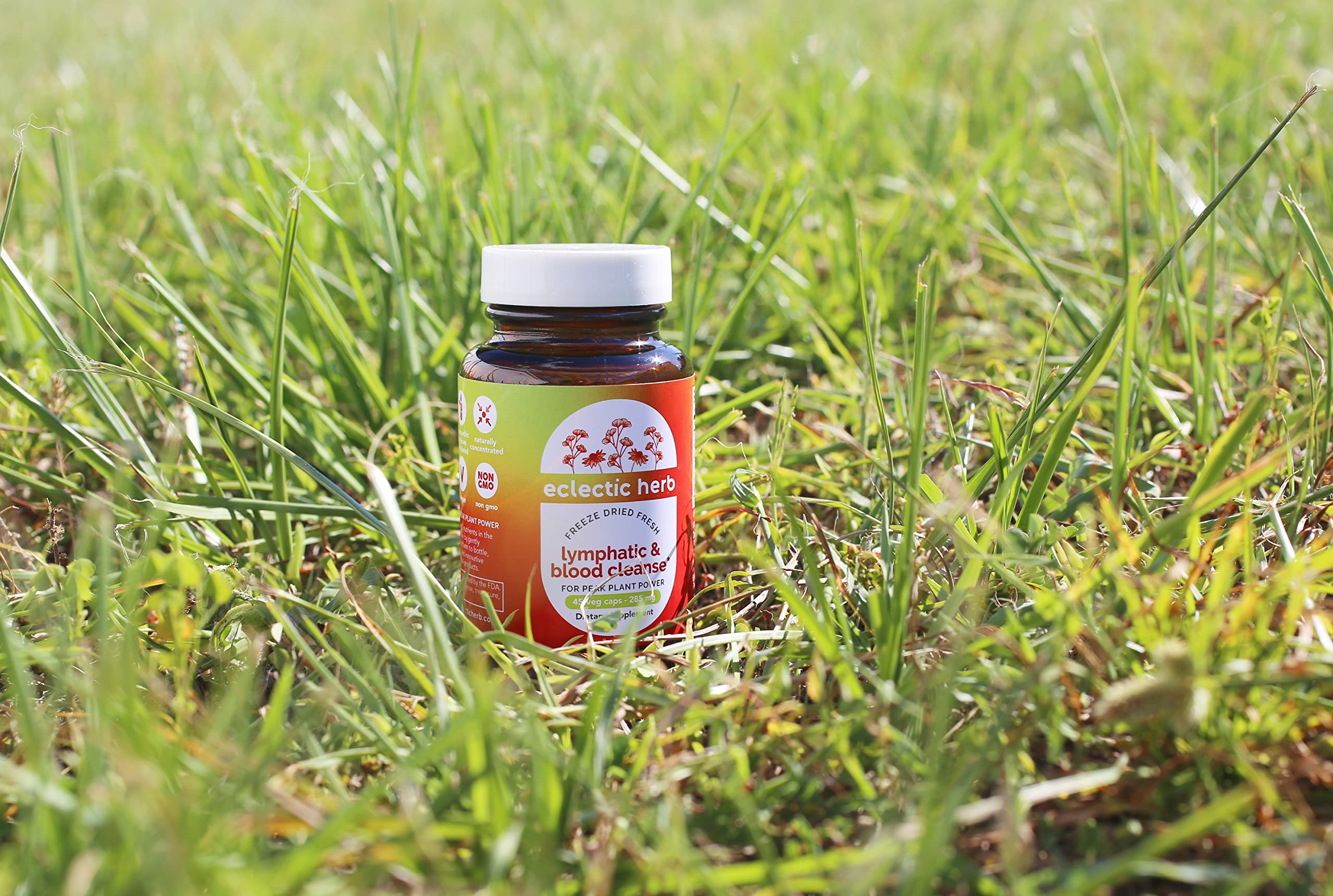 Eclectic Herb Lymphatic & Blood Cleanse | Freeze Dried Fresh, Whole Herbs, Naturally Concentrated | 45 Count