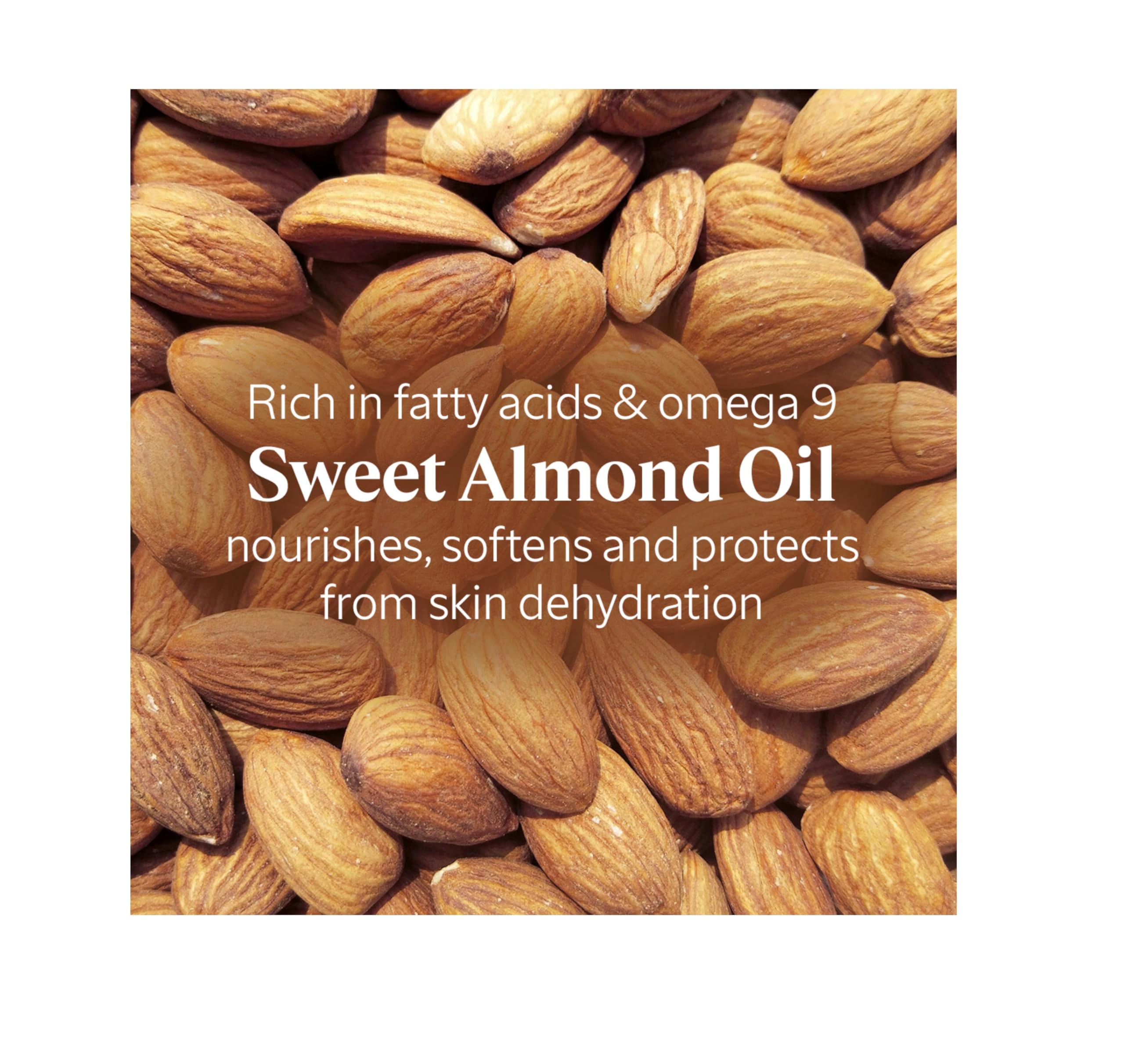 L'Occitane Almond Shower Oil Refill 16.90 oz