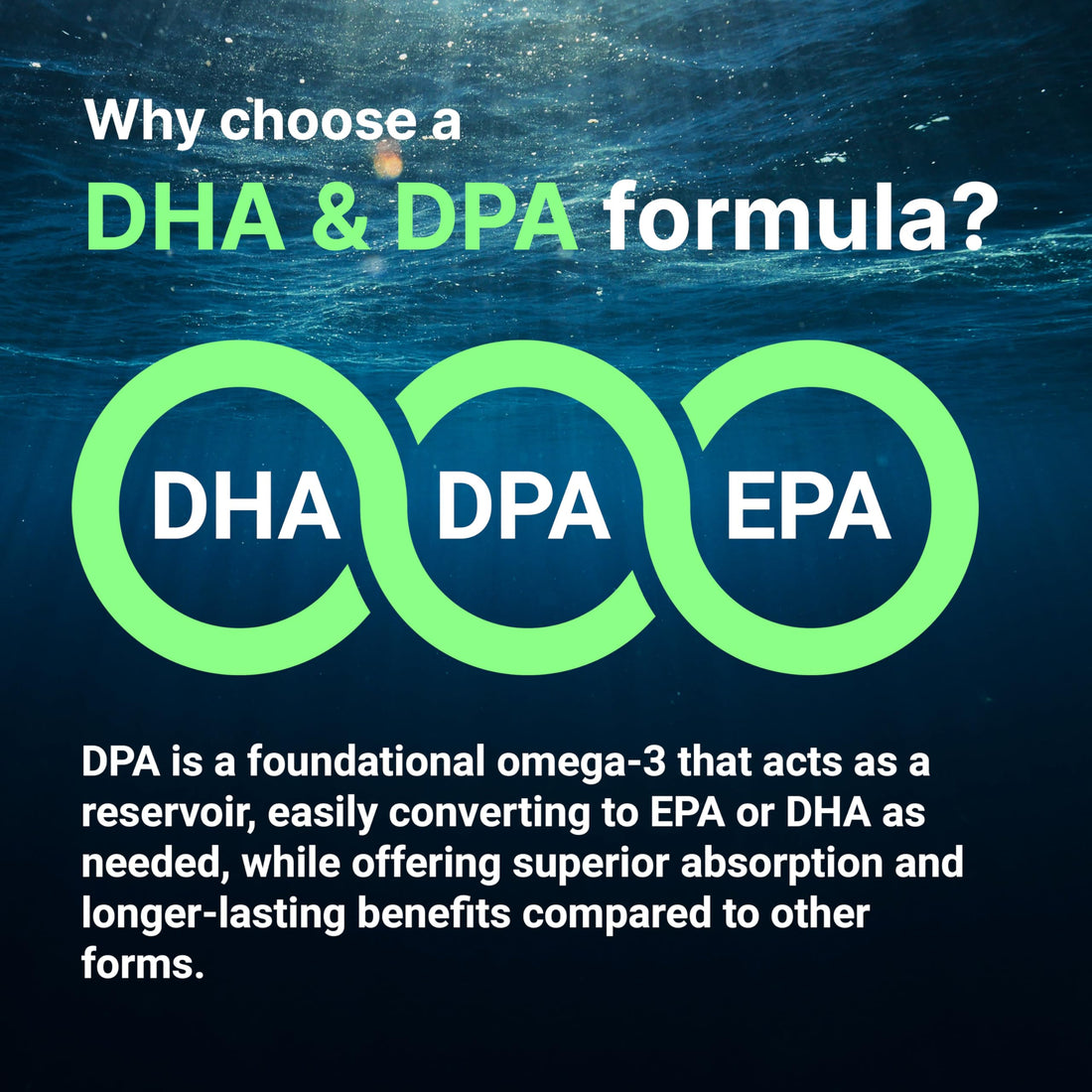 Vegan Omega 3 Algae Oil, 240 Veggie Softgels | Fish Oil Alternative | DHA 500mg & DPA 100mg | Carrageenan Free | Plant-Based Omega 3 with Flaxseed & ALA | Lemon Flavored