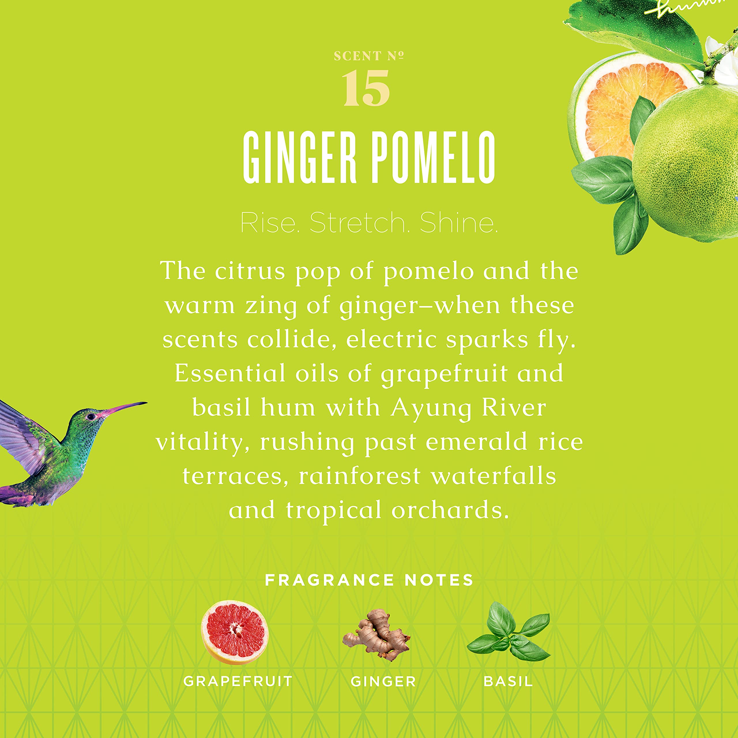 Caldrea Liquid Hand Soap Refill, Ginger Pomelo, 32 Ounce