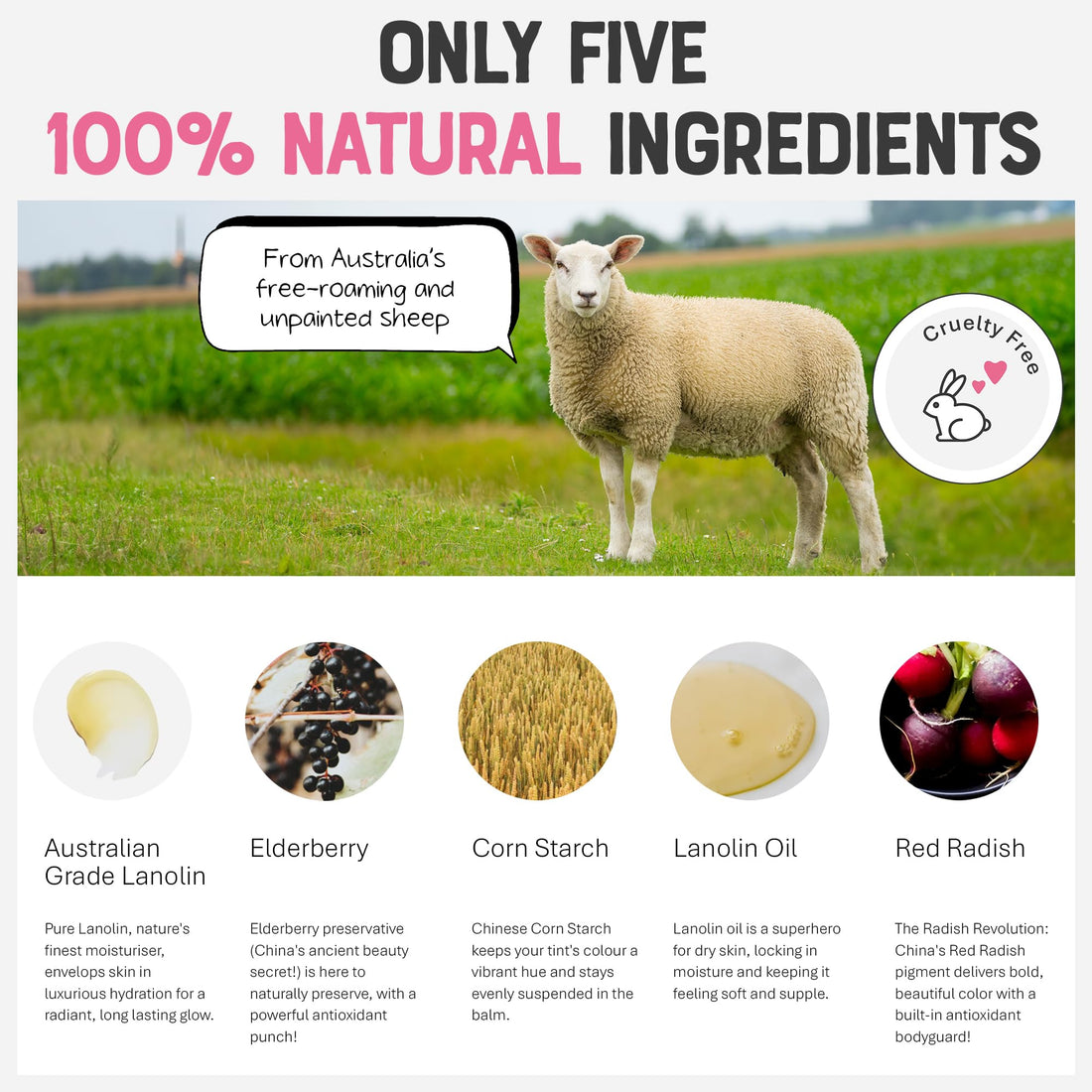 Natural Lanolin Tinted Lip Balm - Moisturizing Gloss For Dry Chapped Lips. Long Lasting Stains Made From Organic Edible Plant Pigments. Fragrance, Gmo, Paraben & Cruelty Free.