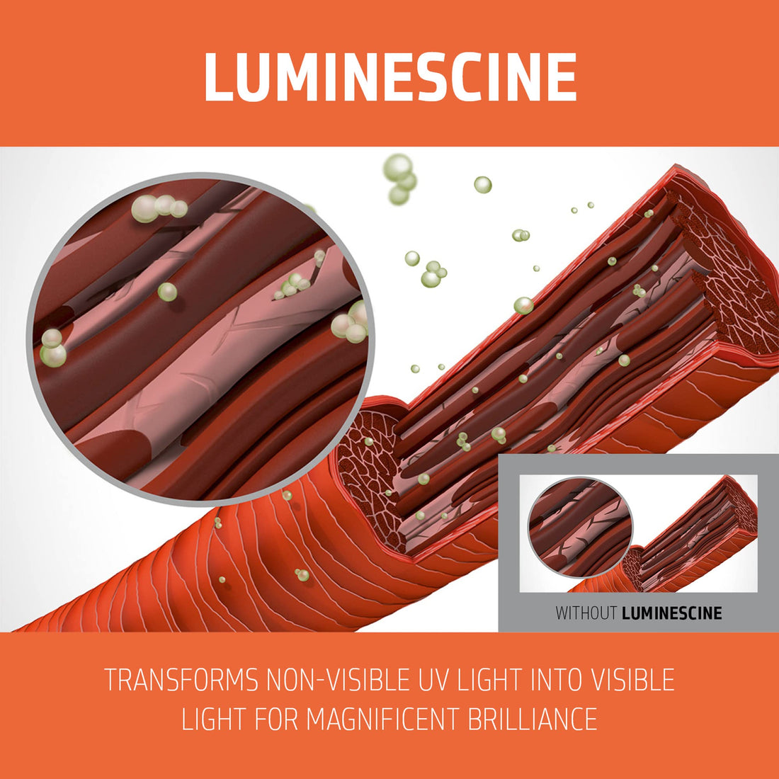 Goldwell Dualsenses Color Revive Color Conditione LIGHT COOL BLONDE 200ML