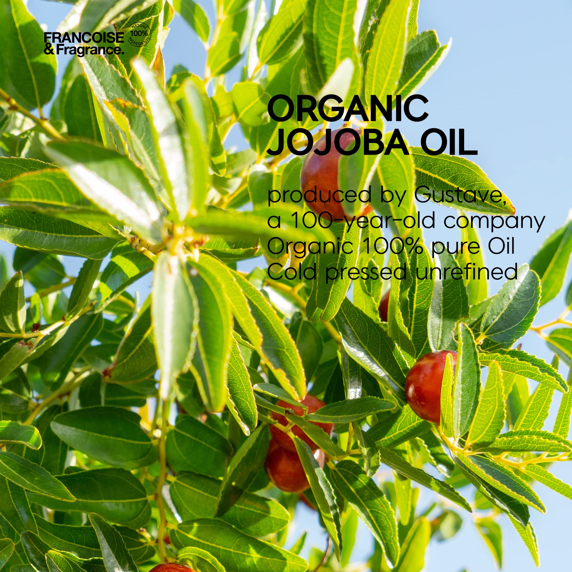 Francoise K-beauty cold pressed Unrefined Virgin Oil for face Organic 100% pure for Moisturizing, Itchy Relief, Eczema, Sensitive Skin Care (Jojoba Oil Gold Ampoule 1fl oz)