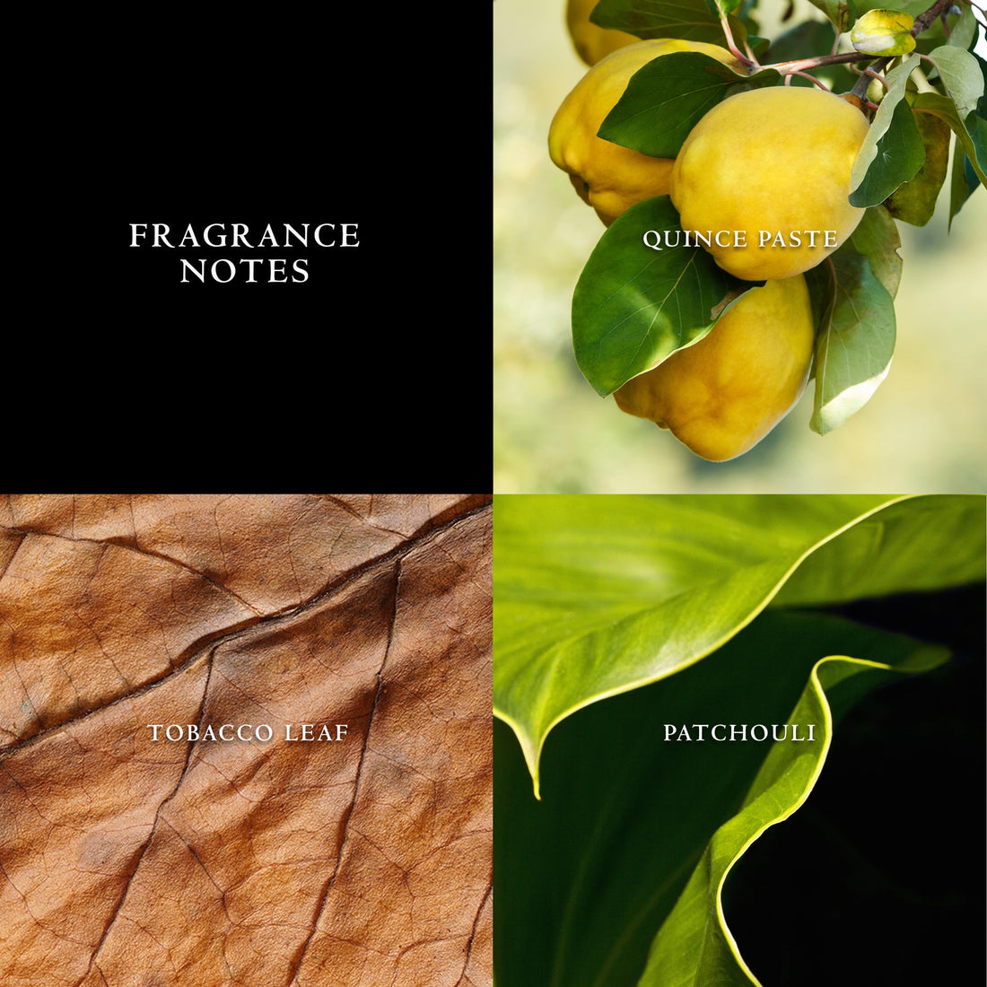 John Varvatos Vintage By John Varvatos For Men (Eau De Toilette, 125 ML)