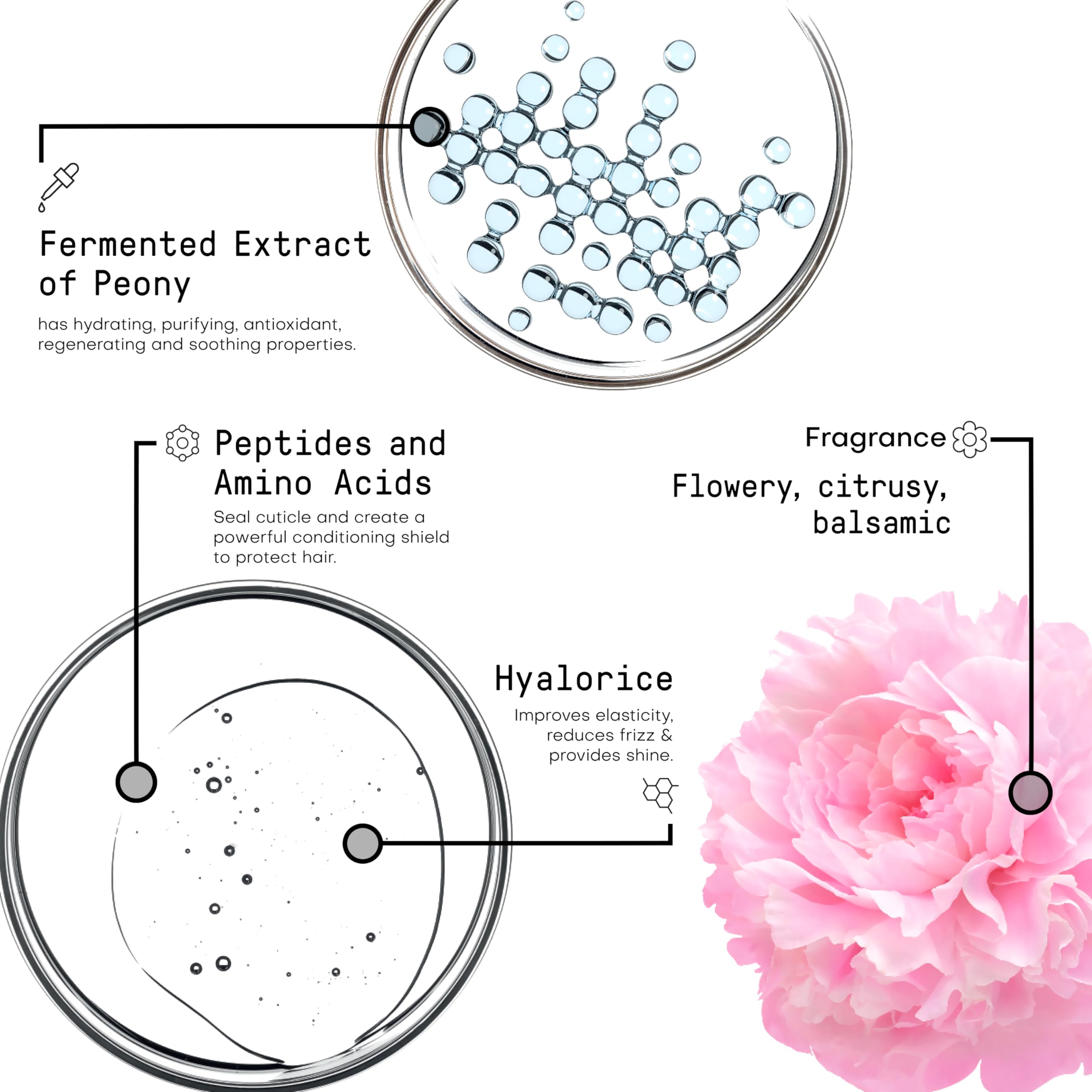 Framesi Morphosis Ultimate Care Shampoo and Conditioner Set, 8.4 fl oz, Moisturizing & Hydrating Shampoo and Conditioner Duo