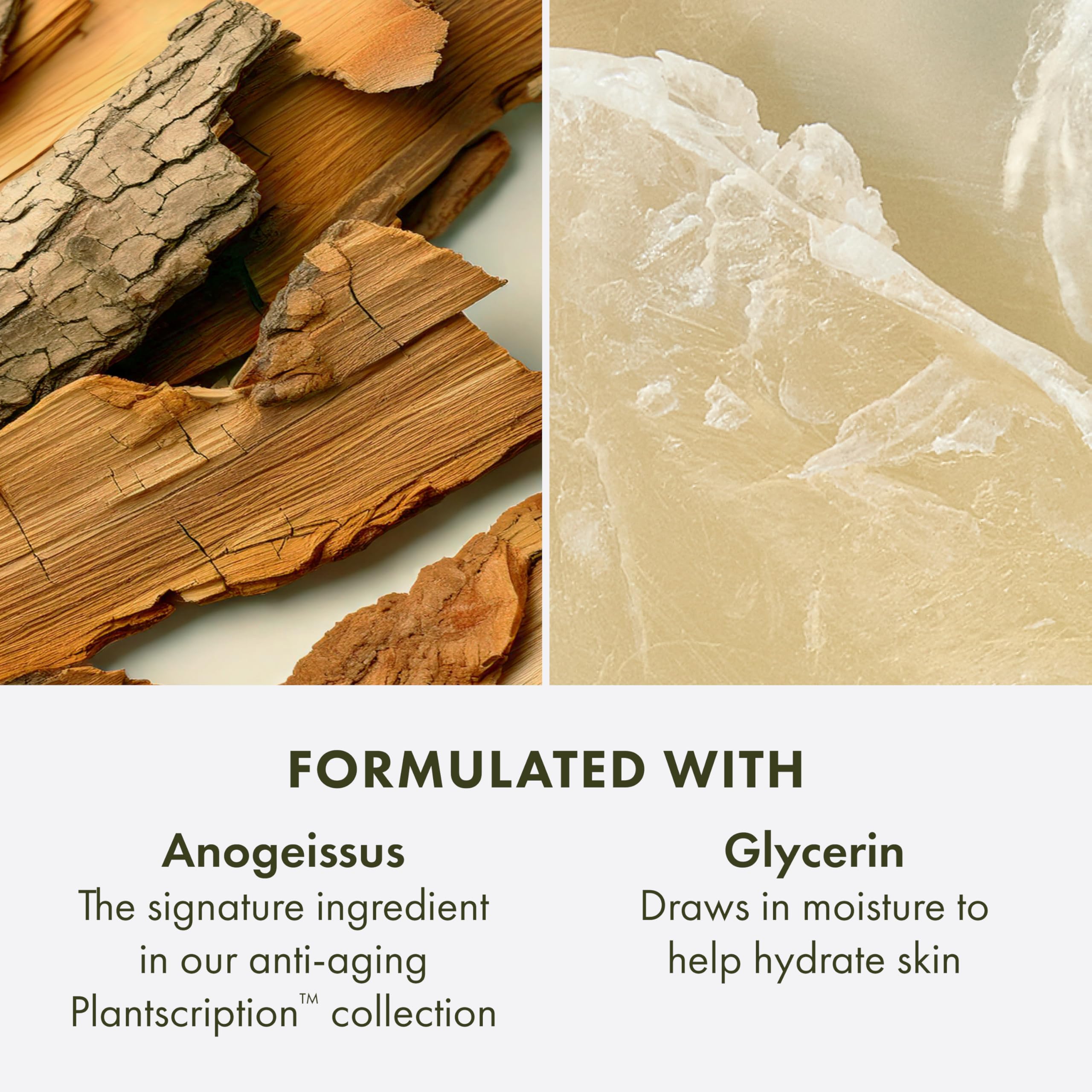 Origins Plantscription Anti-Aging Cleanser | Face Wash For All Skin Types | With Glycerin & Anogeissus, 5 Fl Oz