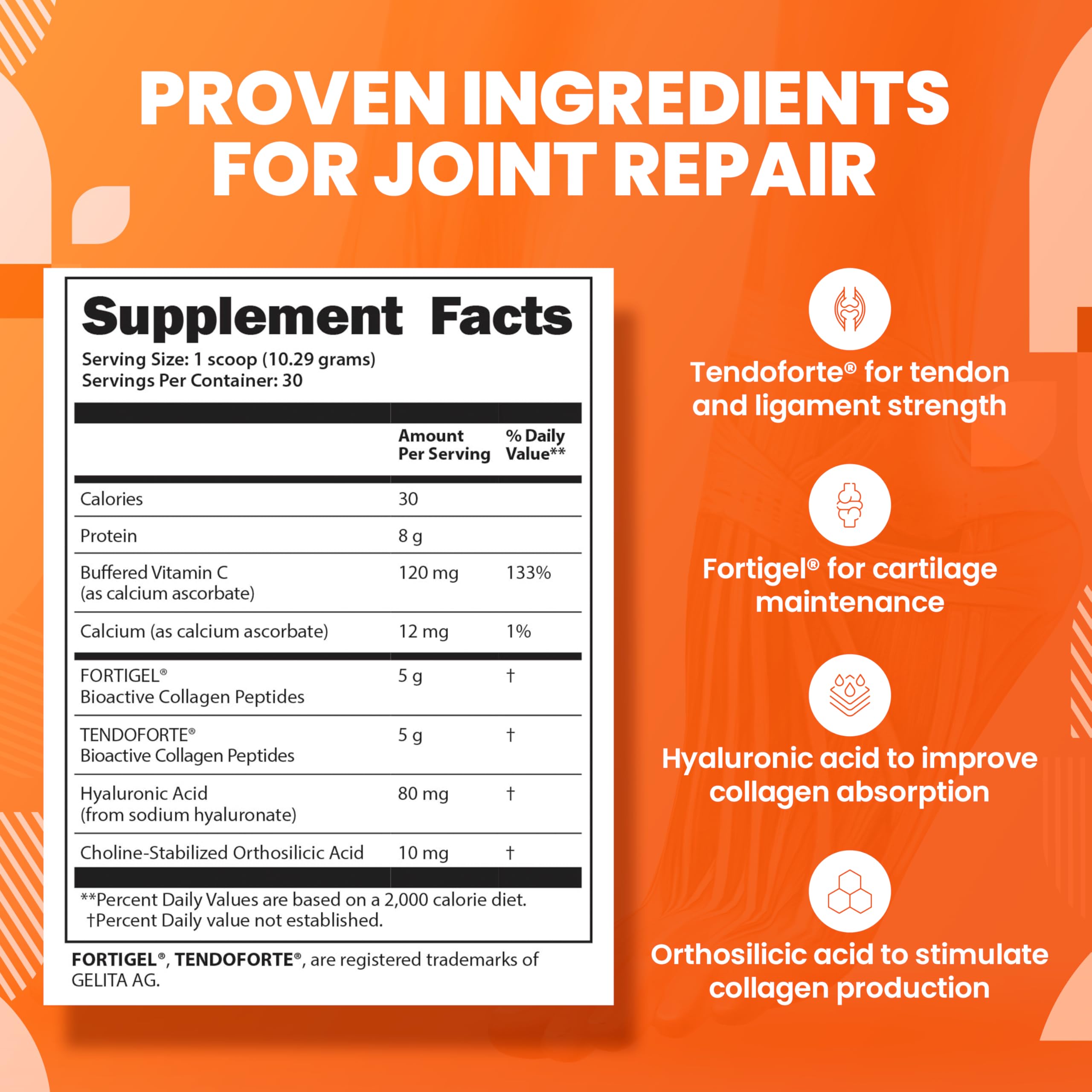 SaltWrap Collagen Synthesis Powder - Collagen Peptides for Joint Recovery with Fortigel & Tendoforte, Collagen for Women, Collagen for Men, Collagen Protein, Supports Tendons, Ligaments, NSF Certified