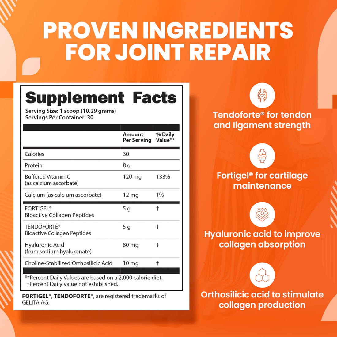 SaltWrap Collagen Synthesis Powder - Collagen Peptides for Joint Recovery with Fortigel & Tendoforte, Collagen for Women, Collagen for Men, Collagen Protein, Supports Tendons, Ligaments, NSF Certified