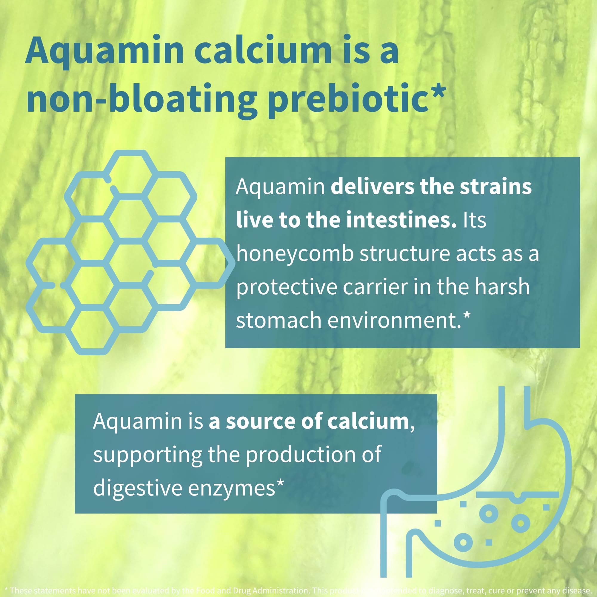 Igennus Probiotics & Prebiotic, Lactobacillus Acidophilus & Bifidobacterium, Live Cultures+ Lab4, Guaranteed 25 Billion CFU, for Women & Men, Non-Bloating Gut Health Support, Non-GMO, 30 Capsules