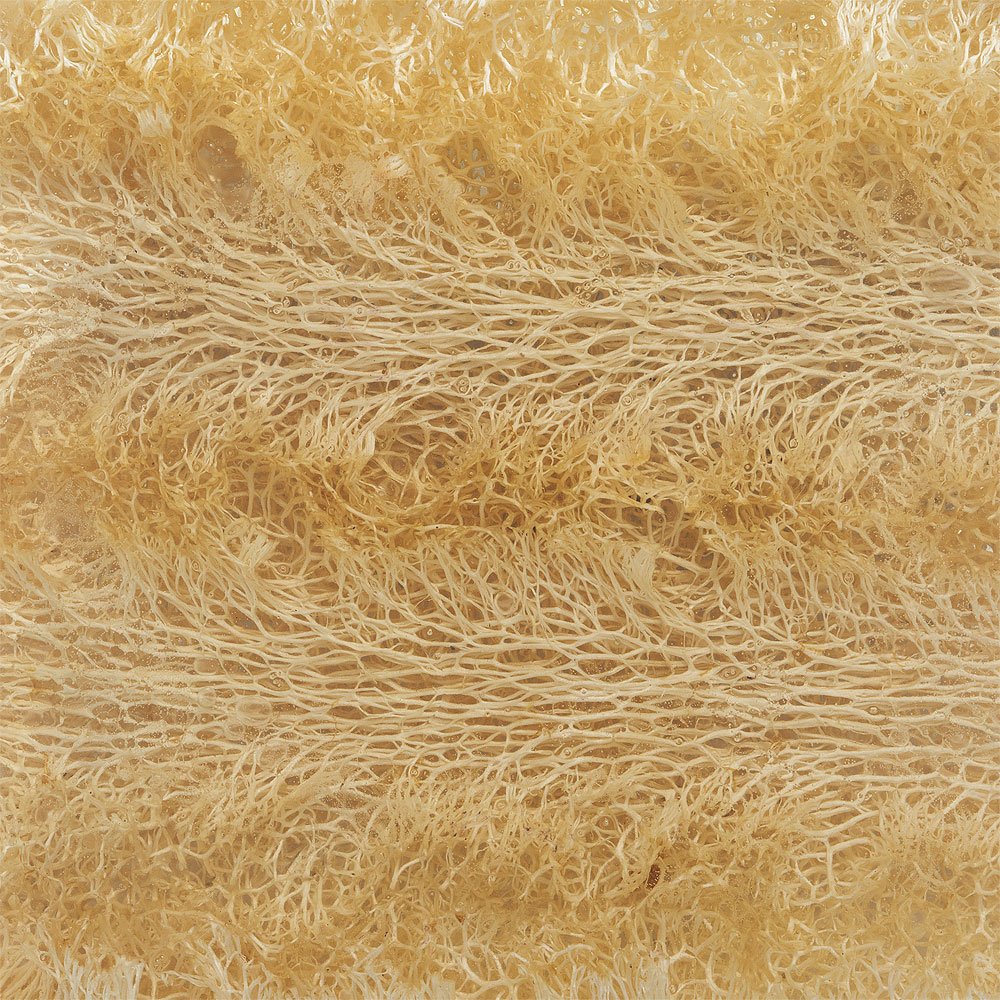 Primal Elements Juicy Kiwi 5.0 Oz. Loofah Glycerin Bar Soap