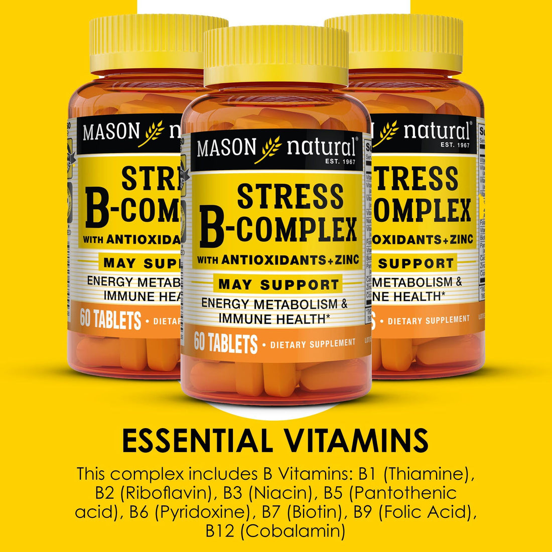MASON NATURAL Stress B-Complex with Antioxidants + Zinc, 6 Month Supply, Dual Action Formula, Supports Energy Metabolism & Immune Health, 3 Pack