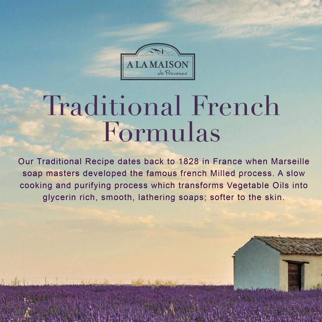 A La Maison de Provence Liquid Soap, White Tea, 16.9-Ounce Bottles (Pack of 3)