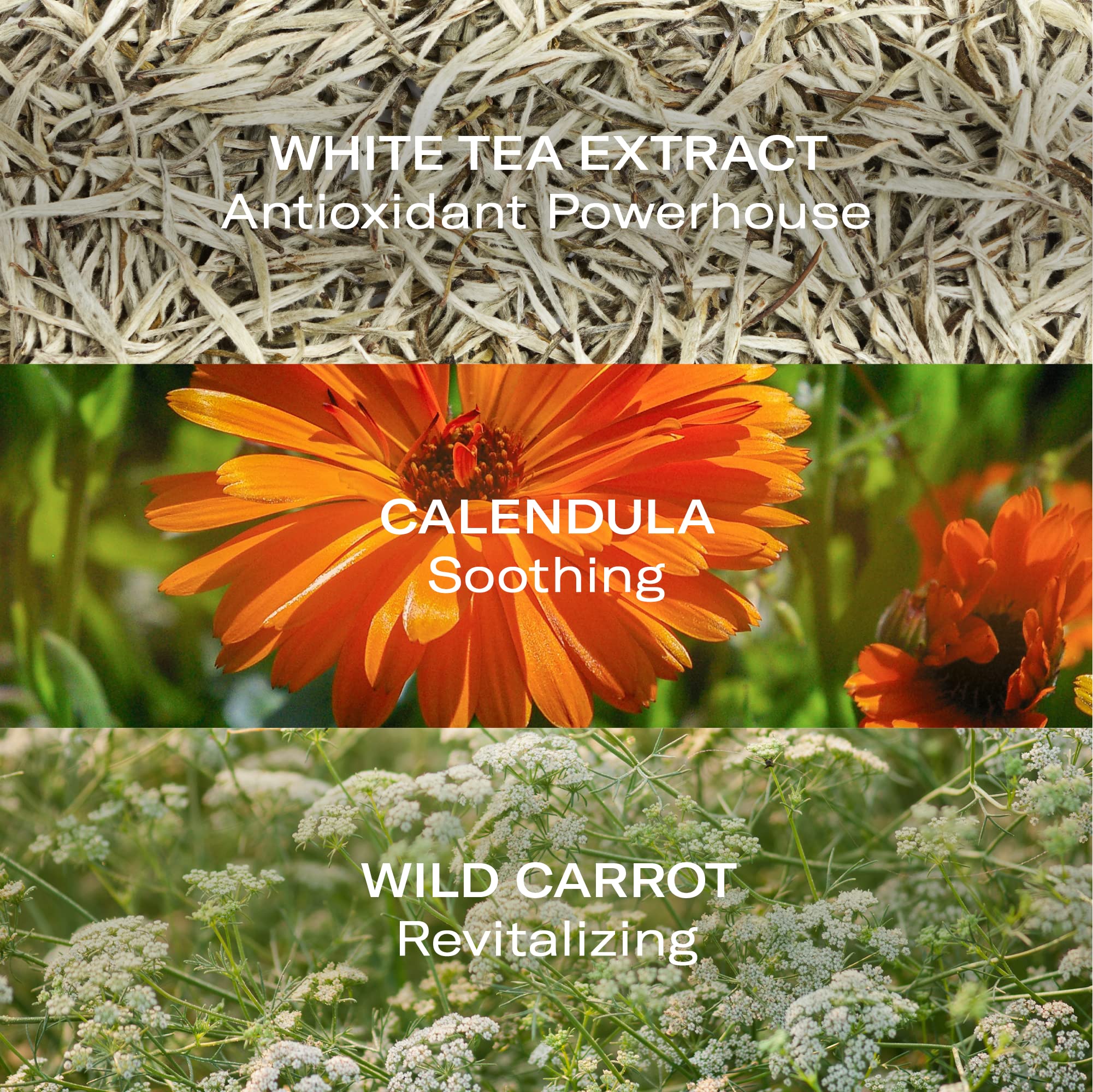 Oleosomes Time Release Delivery Crème