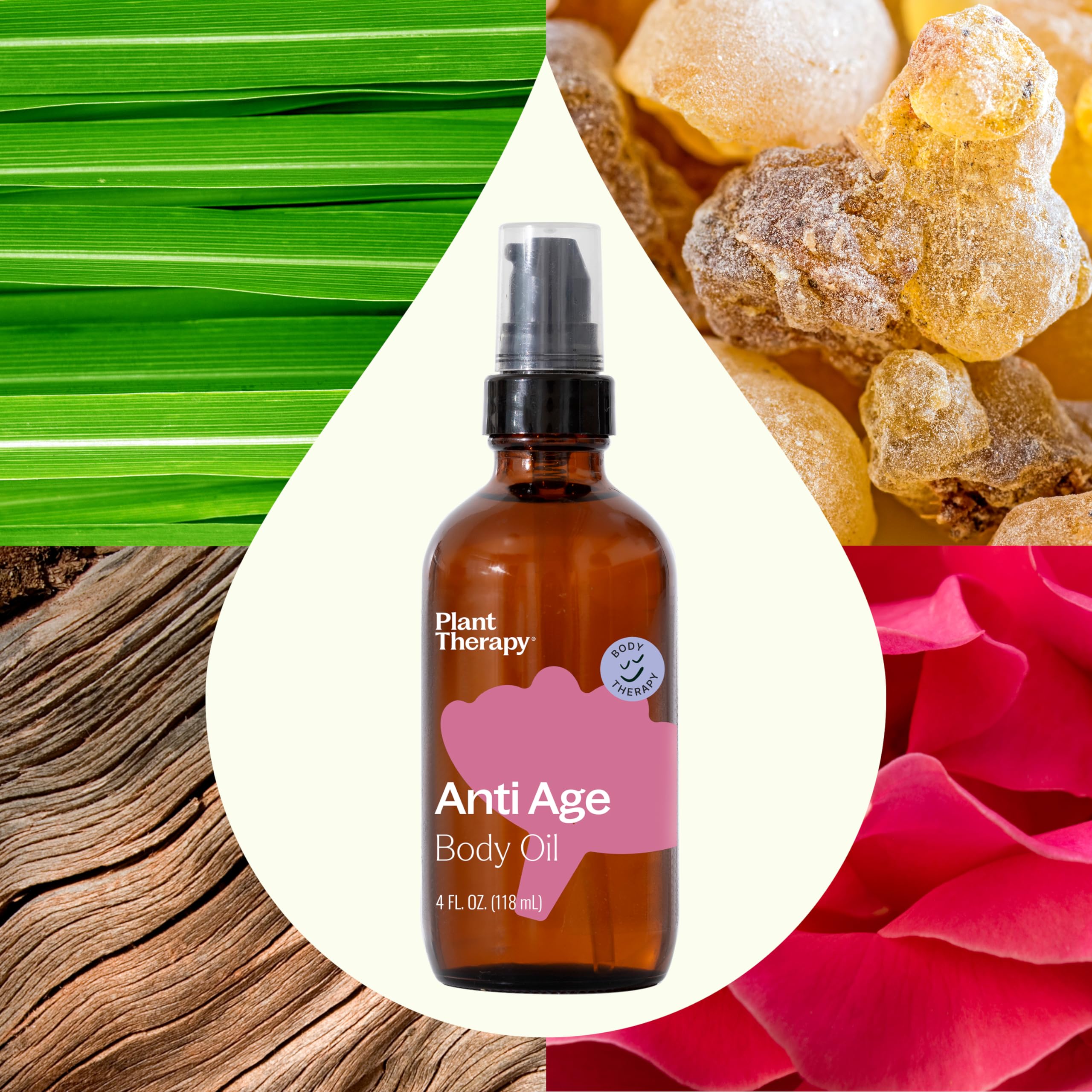 Plant Therapy Anti Age Body Oil 4 oz Locks in Moisture for Supple, Radiant Looking Skin, Helps Reduce the Appearance of Fine Lines, Made with Frankincense, Sandalwood, & Rose Oil