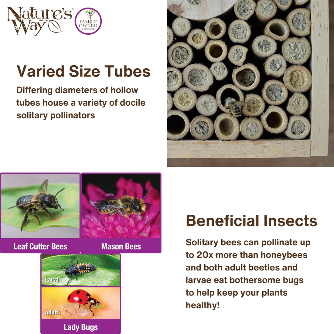 Better Gardens PWH12 Tower Power pollinator, Wood