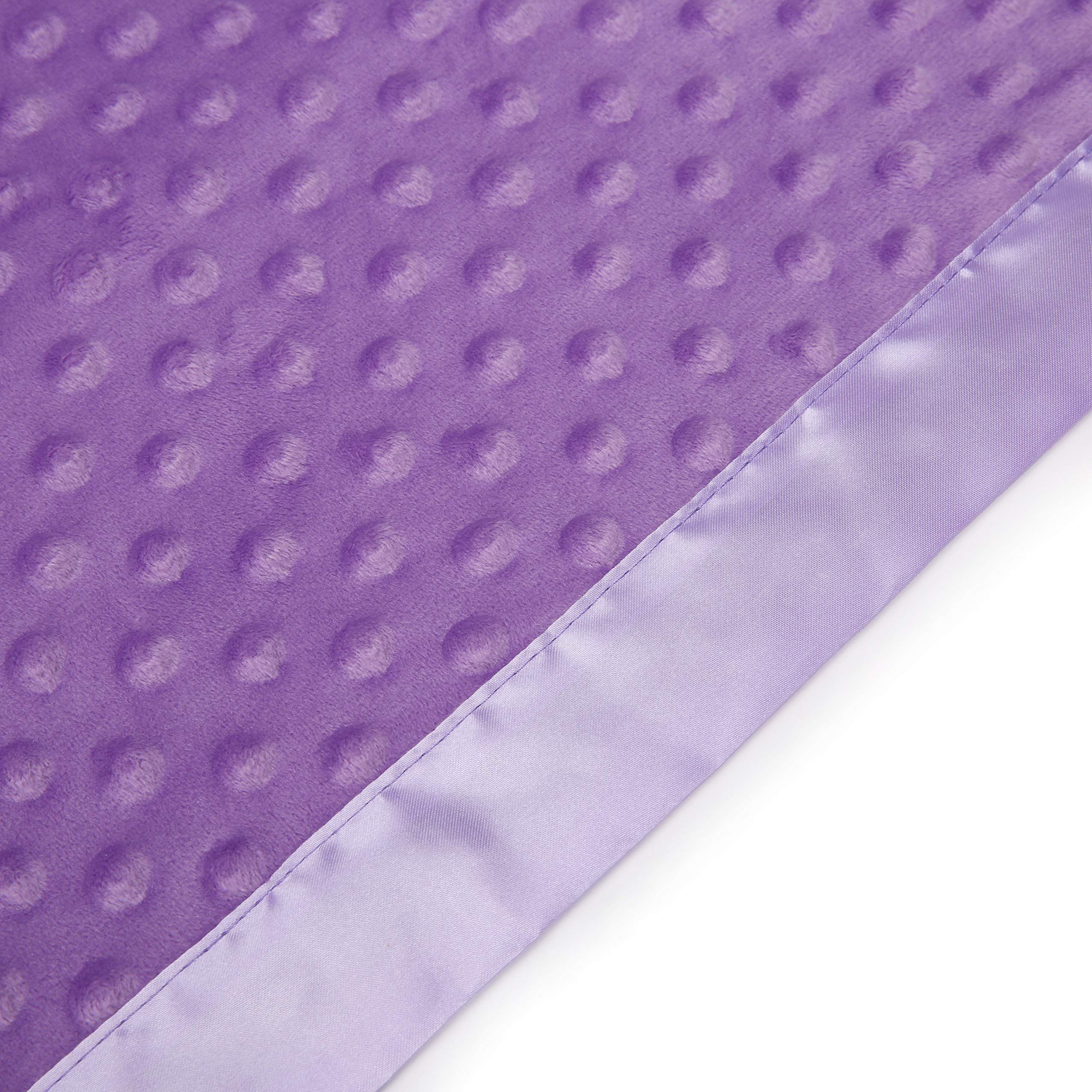 Pro Goleem Baby Soft Minky Dot Blanket with Silky Satin Backing Baby Gifts for Boys and Girls (Purple, 30’’ x 40’’)