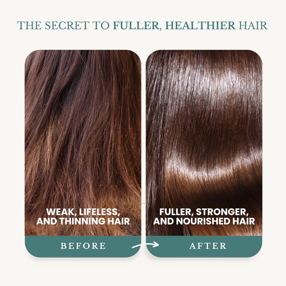 EDENIKA BOTANICALS Rosemary Shampoo with Biotin, Green Tea & Clove for Hair Strength & Anti-Hair Loss, Scalp Detox & Clarifying, Adds Volume & Shine – 16 fl oz