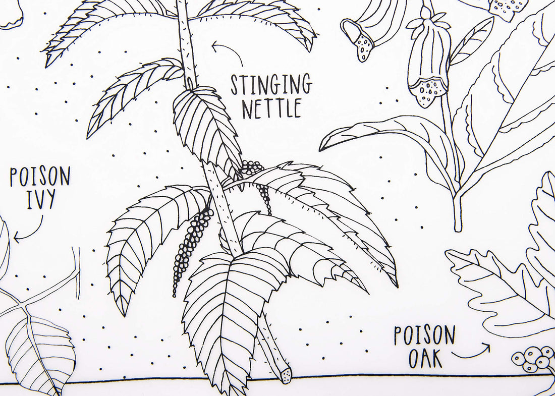 modern-twist 10 x 14 Reusable, Waterproof Coloring Mark-Mat Sheet for Kids, 100% Food-Grade Silicone, Pack of 1, Dangerous Plants