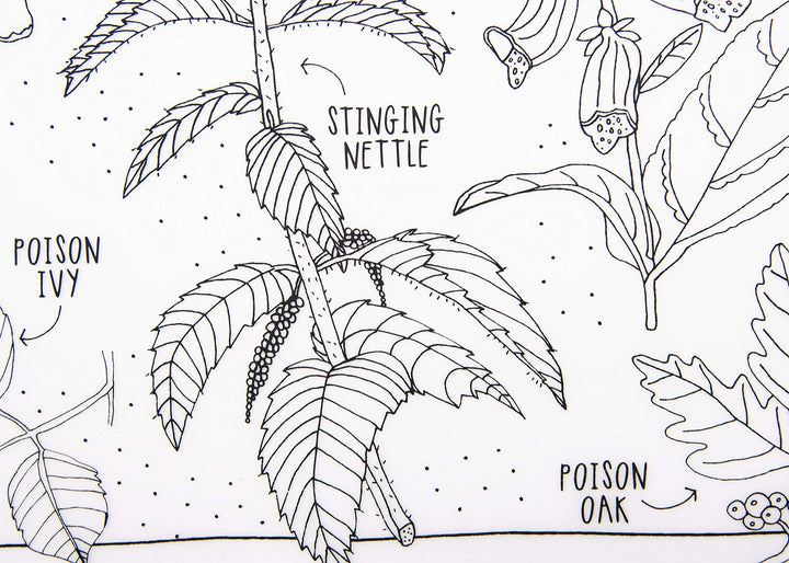 modern-twist 10 x 14 Reusable, Waterproof Coloring Mark-Mat Sheet for Kids, 100% Food-Grade Silicone, Pack of 1, Dangerous Plants