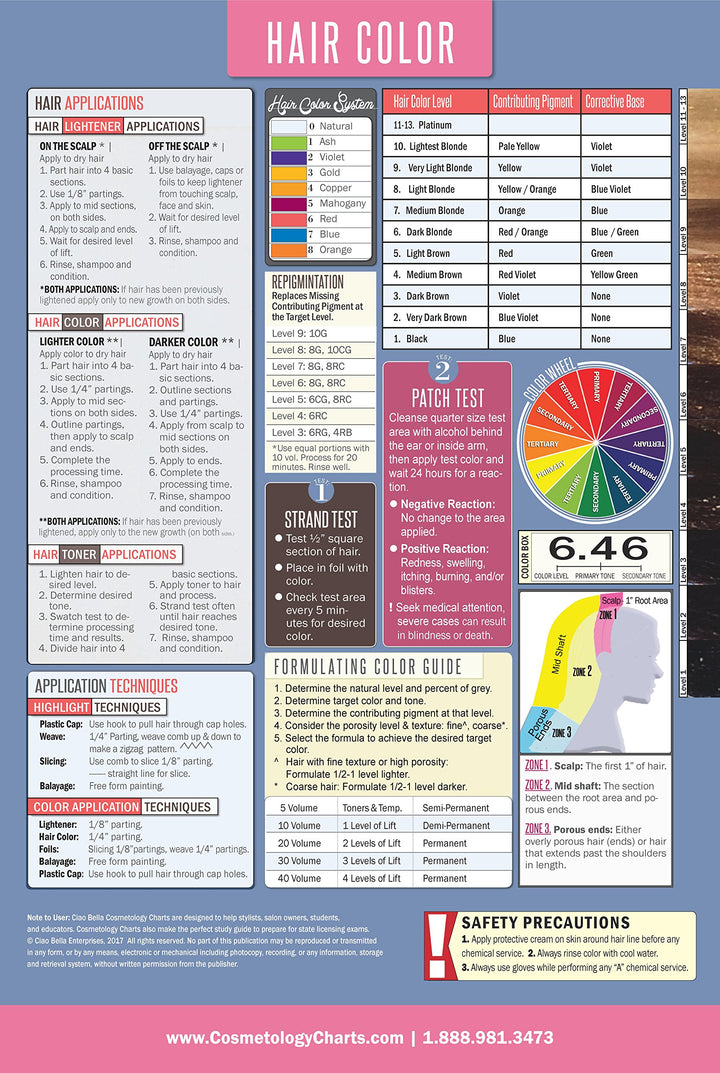 Salon Hair Color Laminated Poster 18 X 27 Inch-For Hair Stylist, Salons, Educators, Cosmetology & Barbering Schools, Includes How to Formulate Hair Color, Color Correction & Color Applications