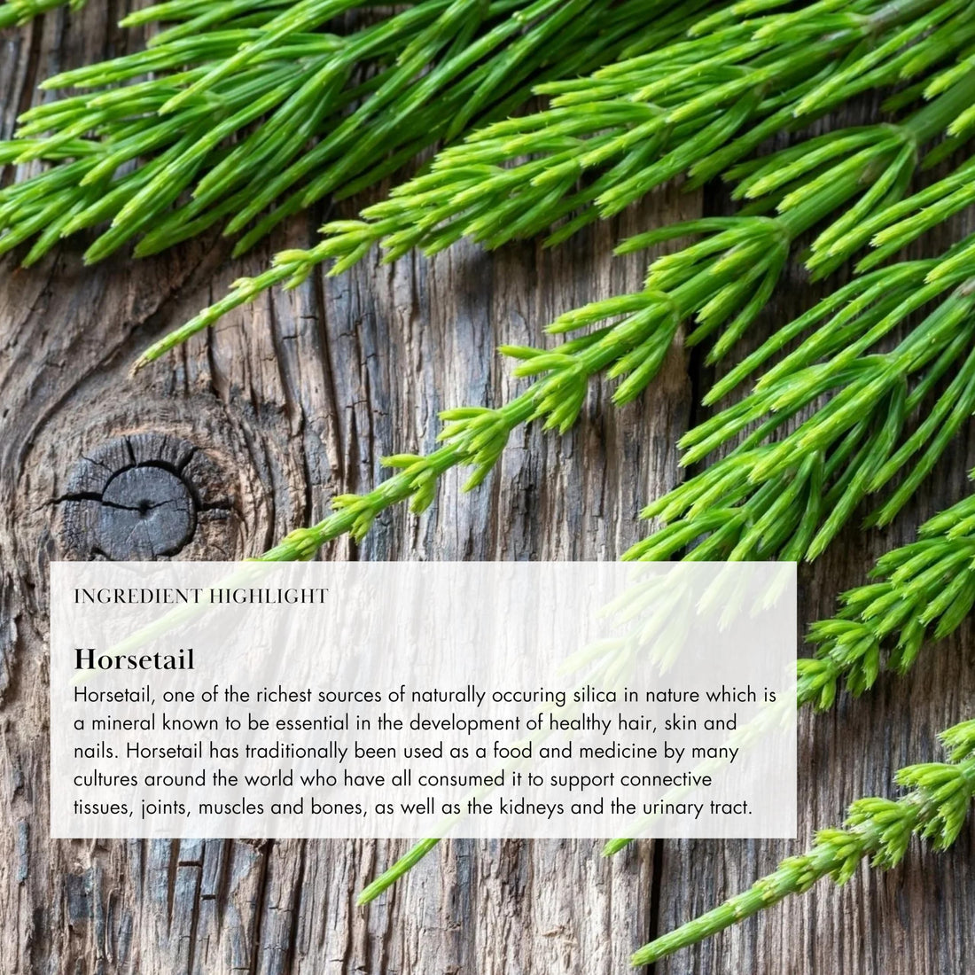 Anima Mundi Apothecary Vegan Collagen Powder - Plant-Based & Organic Collagen Booster - Supports Collagen & Keratin Production for Healthy Skin, Hair, Joints & Bones (4oz/113g)