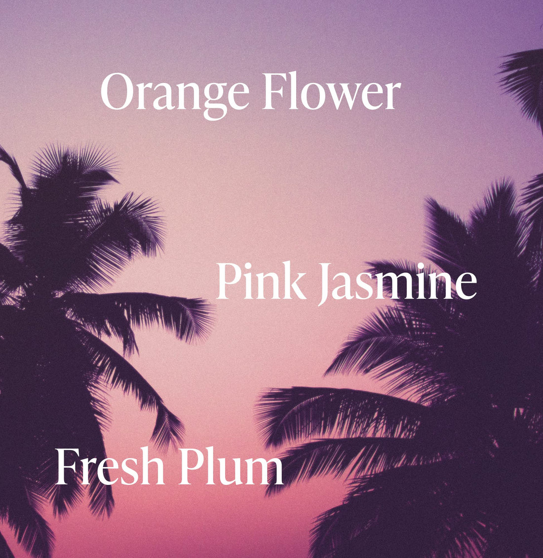 Saltair - Conditioner (Beach Blonde)