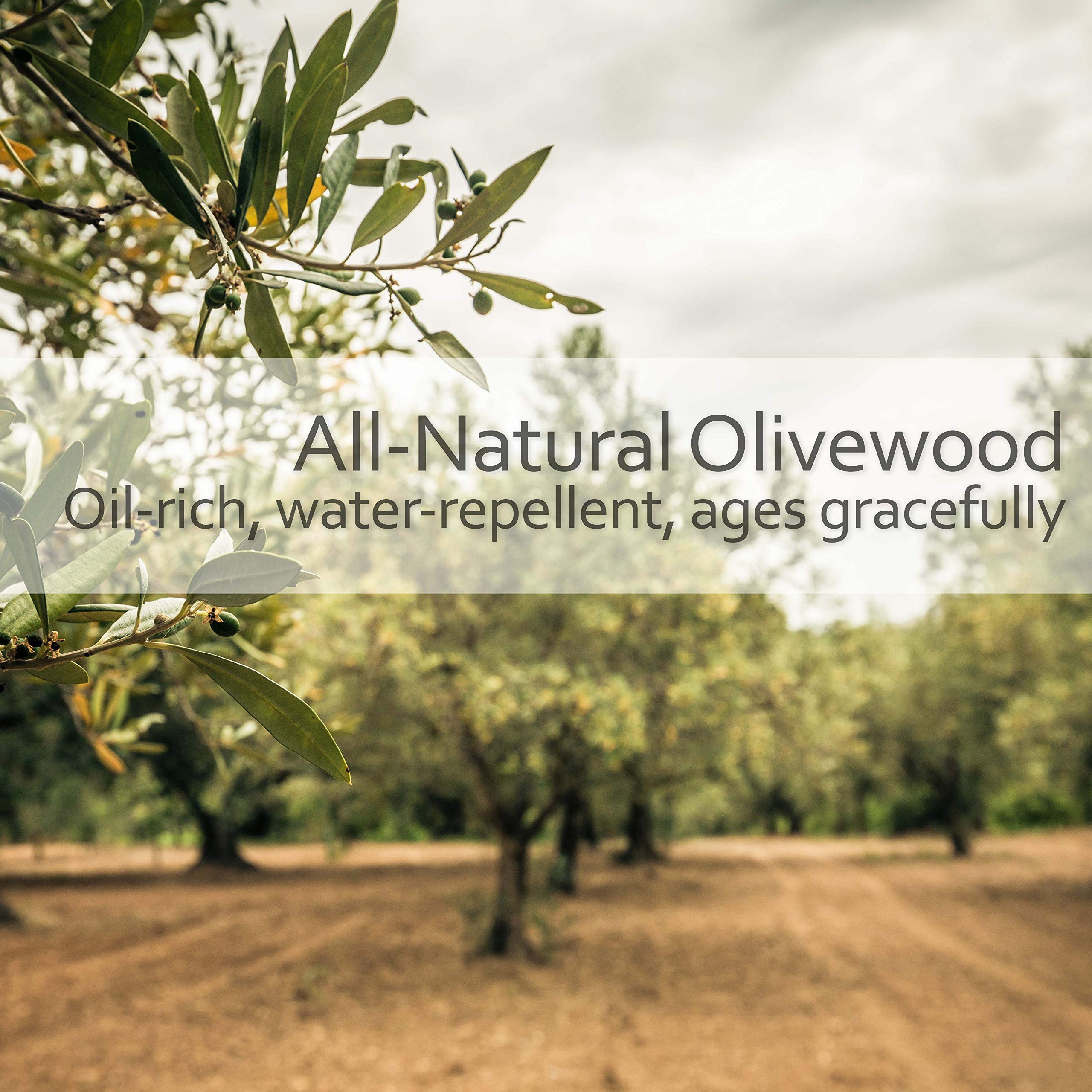 Redecker Walnut Pin Mini Pocket Hairbrush with Waxed Olive Wood Handle, 4-1/2-Inches