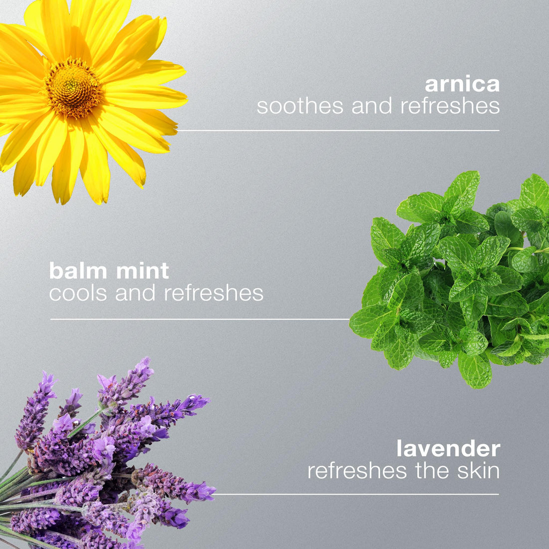 Dermalogica Multi-Active Toner, Facial Spray for Hydrating, Calming, Refreshing - Help Condition Skin and Prepare for Moisture Absorption, 8.4 Fl Oz