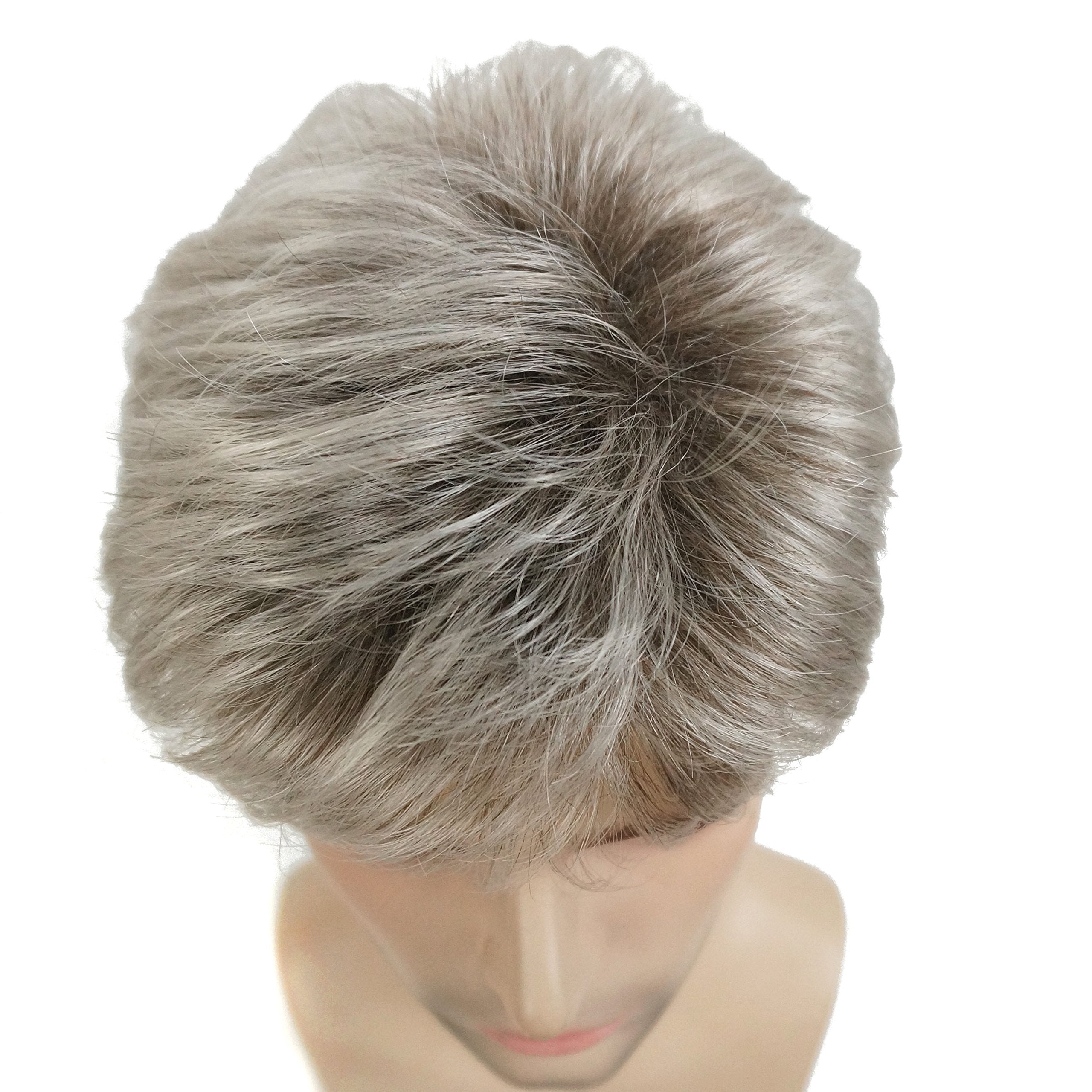 Lydell Men Wig Natural Short Straight Hair Synthetic Full Wigs (48T Light Gray with Dark Root)