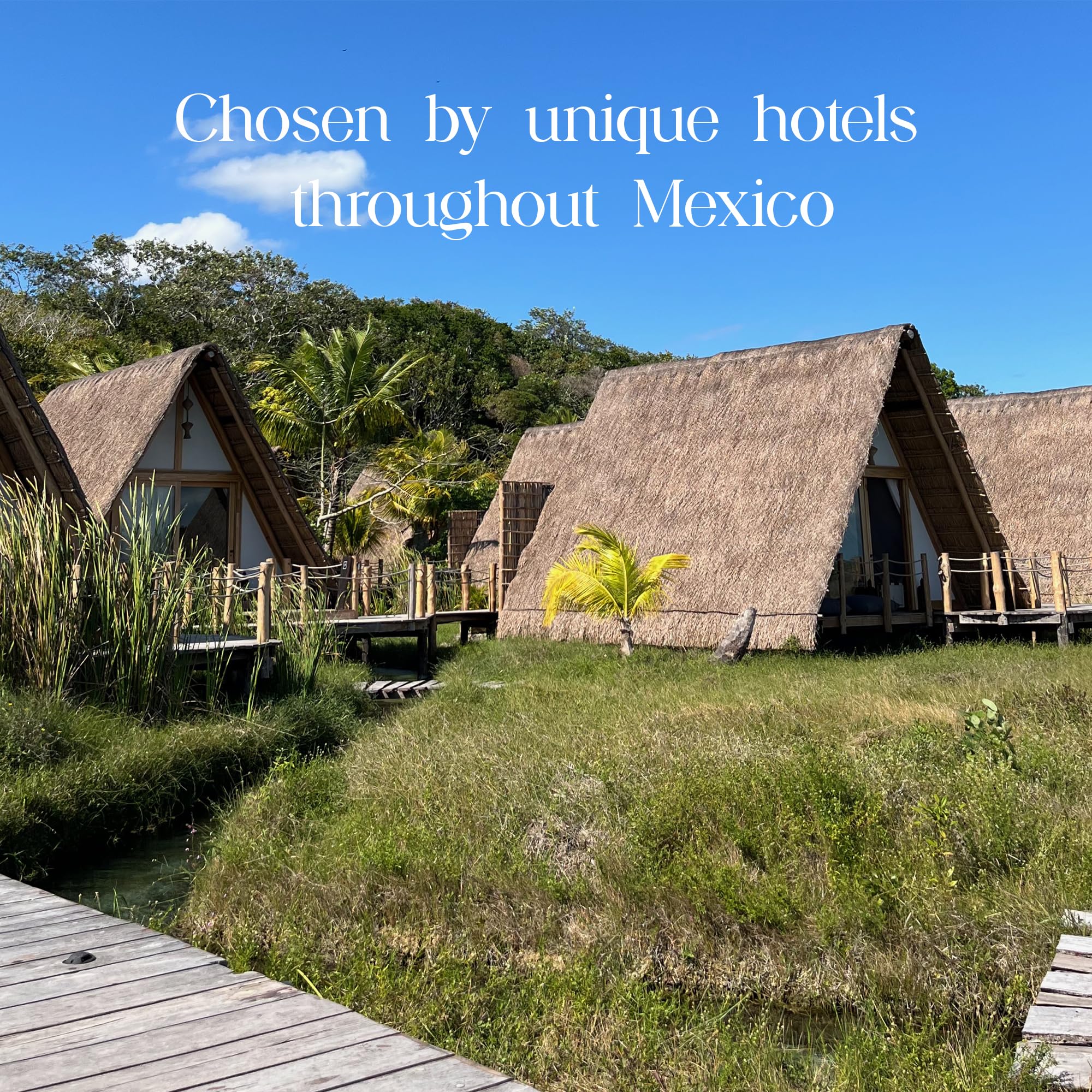 Yucatan Herbal Mayan Bee Honey Conditioner