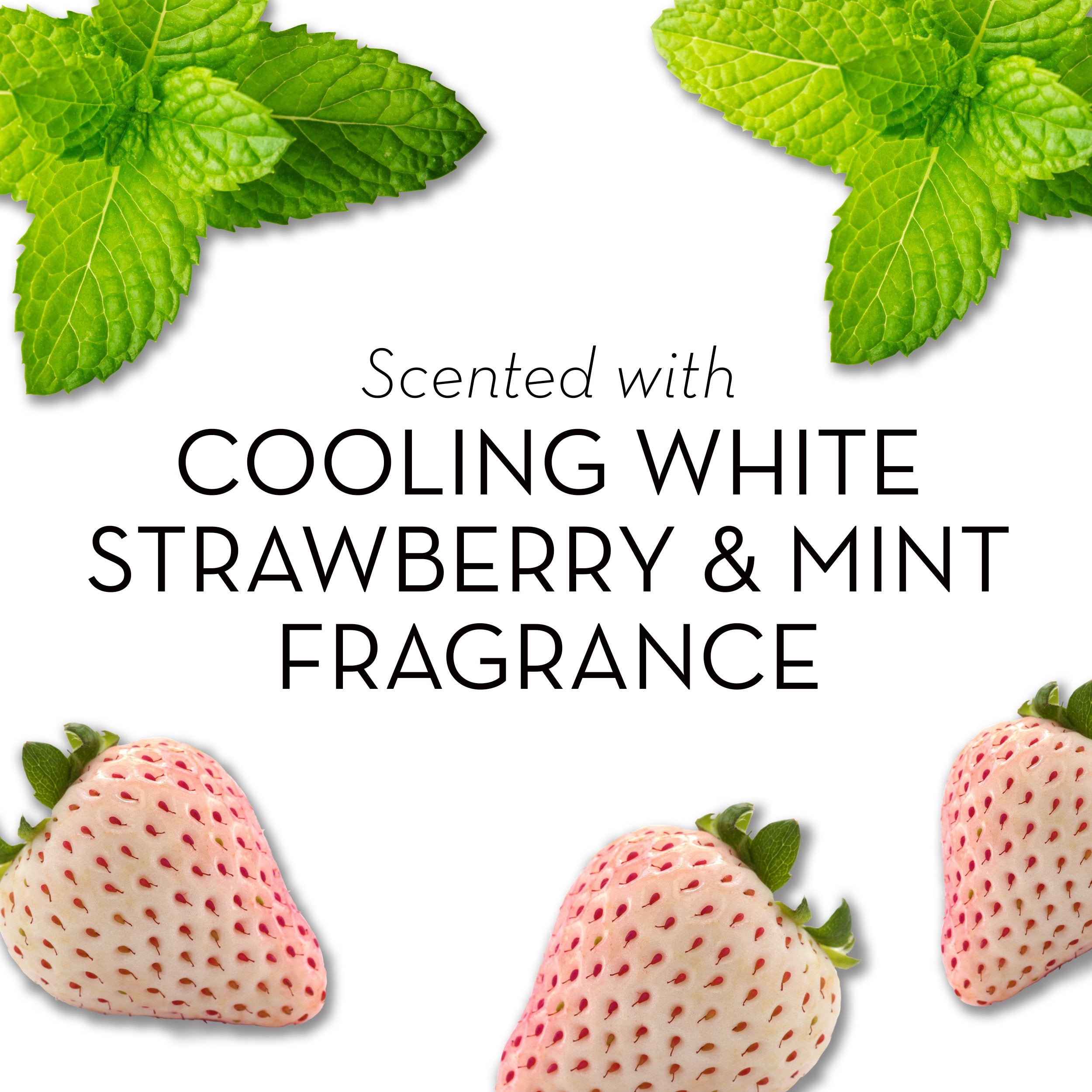 Olay Fresh Outlast Cooling White Strawberry and Mint Body Wash, 22 Fluid Ounce