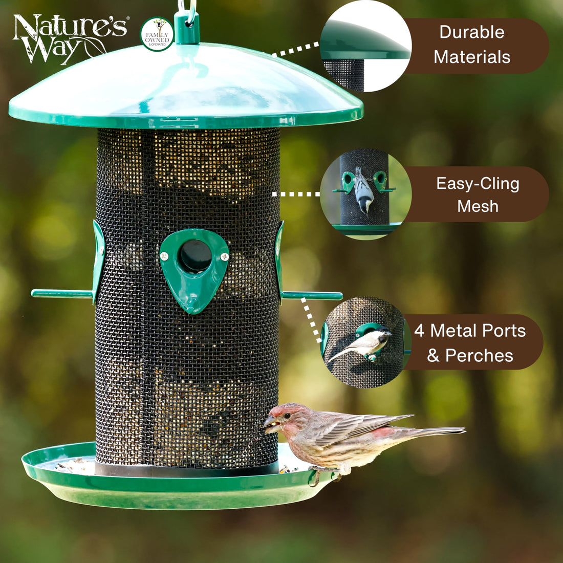 Nature's Way Perch If You Please Verdigris Metal Mesh Mixed Seed Bird Feeder for Wild Birds and Outdoor Décor, 2.5 Quart Capacity, Easy to Clean and Fill with Easy-Cling Mesh, Green