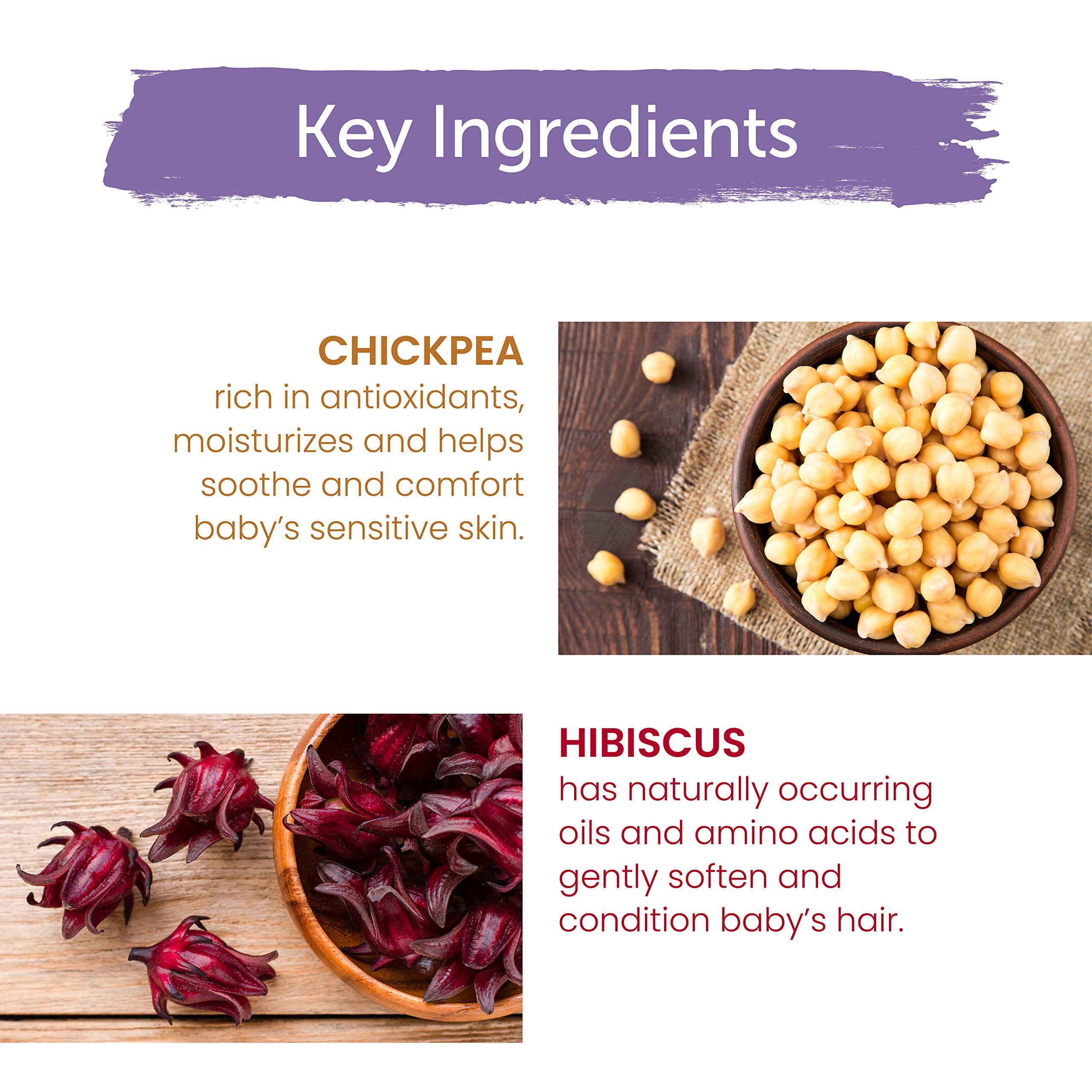 Himalaya Herbal Healthcare Gentle Baby Shampoo, 13. 53 Fluid Ounce