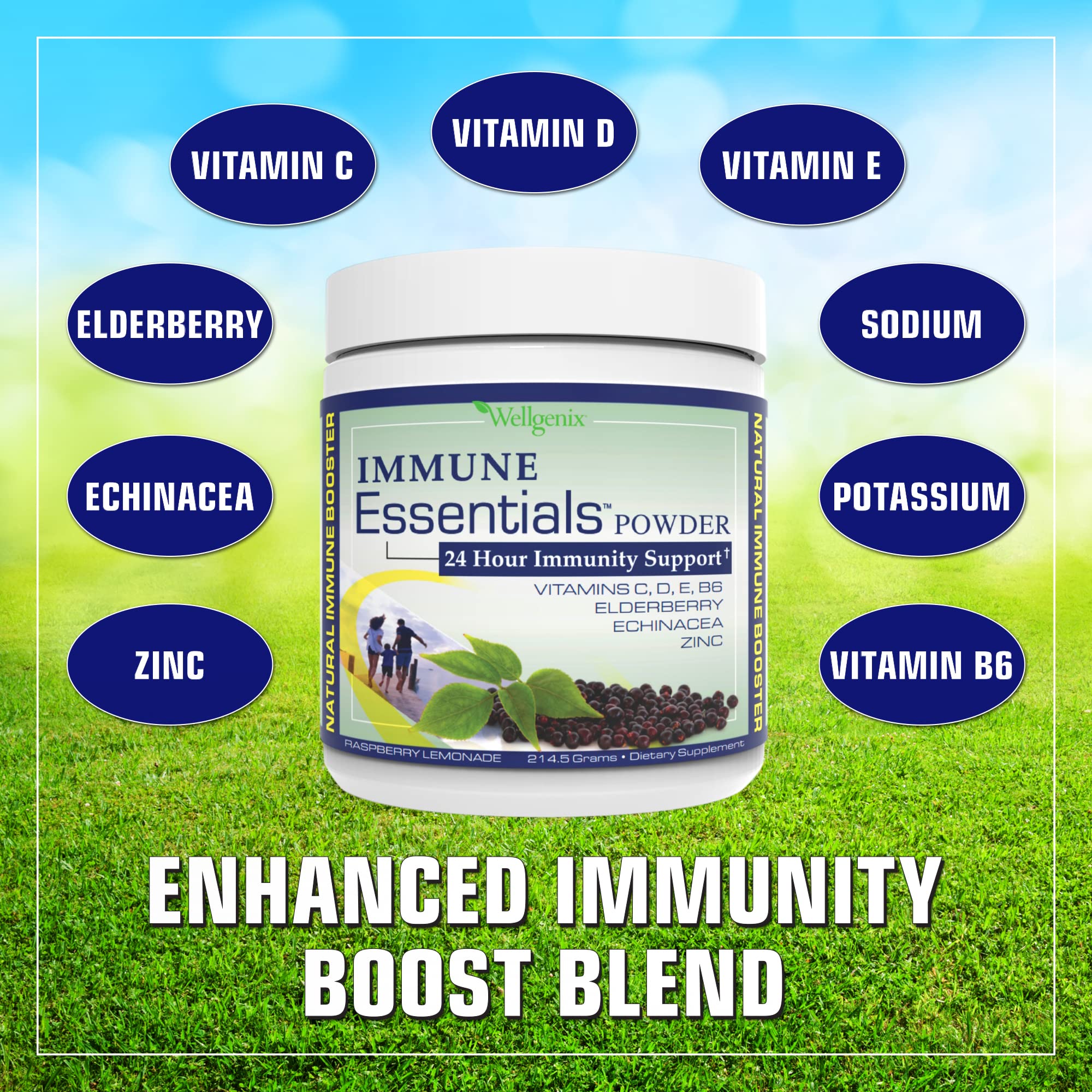 Wellgenix Immune Essentials - Multivitamin Powder for Men, Women & Kids - Vegan Supplement with Vitamins C, D Elderberry Zinc, Echinacea for Toddler, Kid & Adult - 7.57g (Raspberry Lemonade)