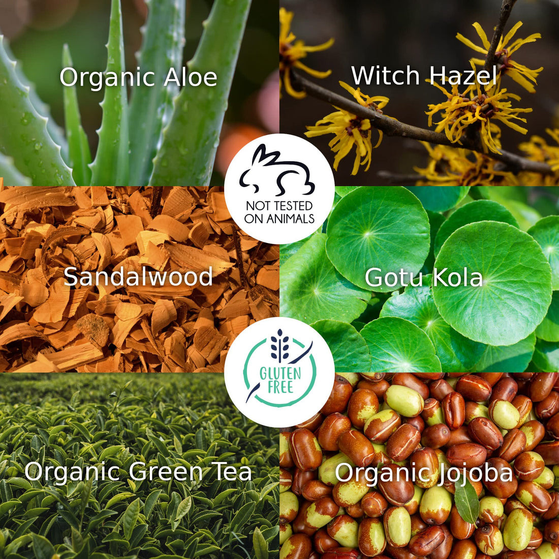 Pure Body Naturals Glycolic Acid Serum, 1 fl oz - Resurfaces, Renews and Moisturizes - Face Serum