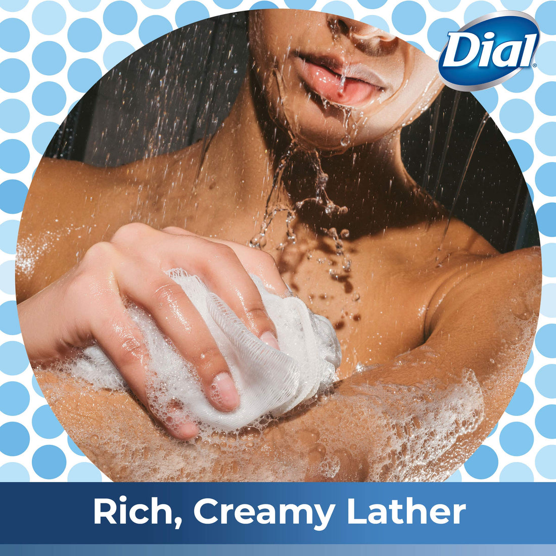Dial Body Wash, Spring Water with All Day Freshness, 21-Fluid Ounces (Pack of 3)