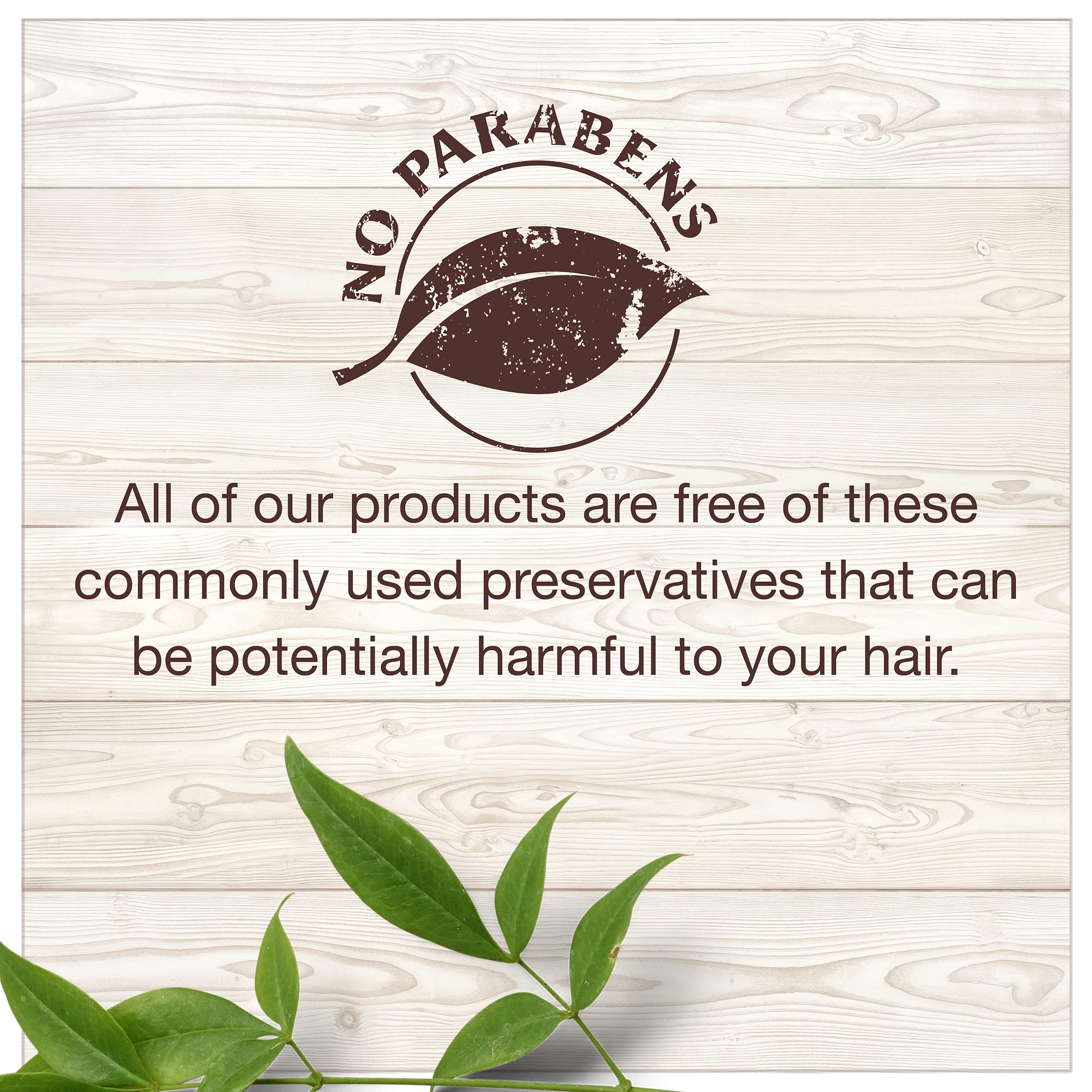 Garnier Whole Blends Nurturing Almond Milk and Agave Extract Weightless Moisture Conditioner for Normal to Dry Hair, Paraben Free, 12.5 fl oz